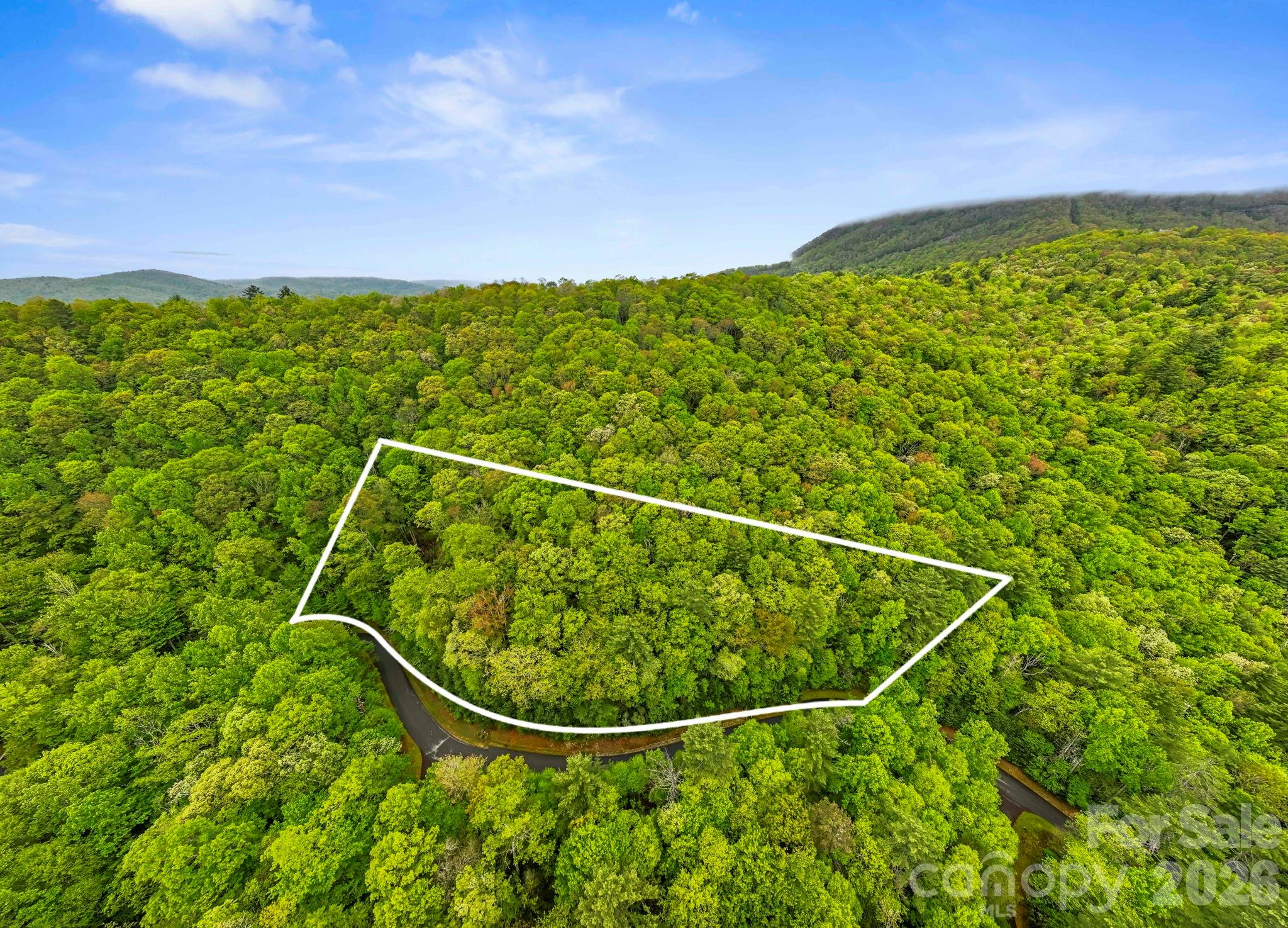 Homes for sale in Sapphire, NC | Tbd Hickory Shaft Dr, Sapphire, NC 28774 | MLS# 4386562