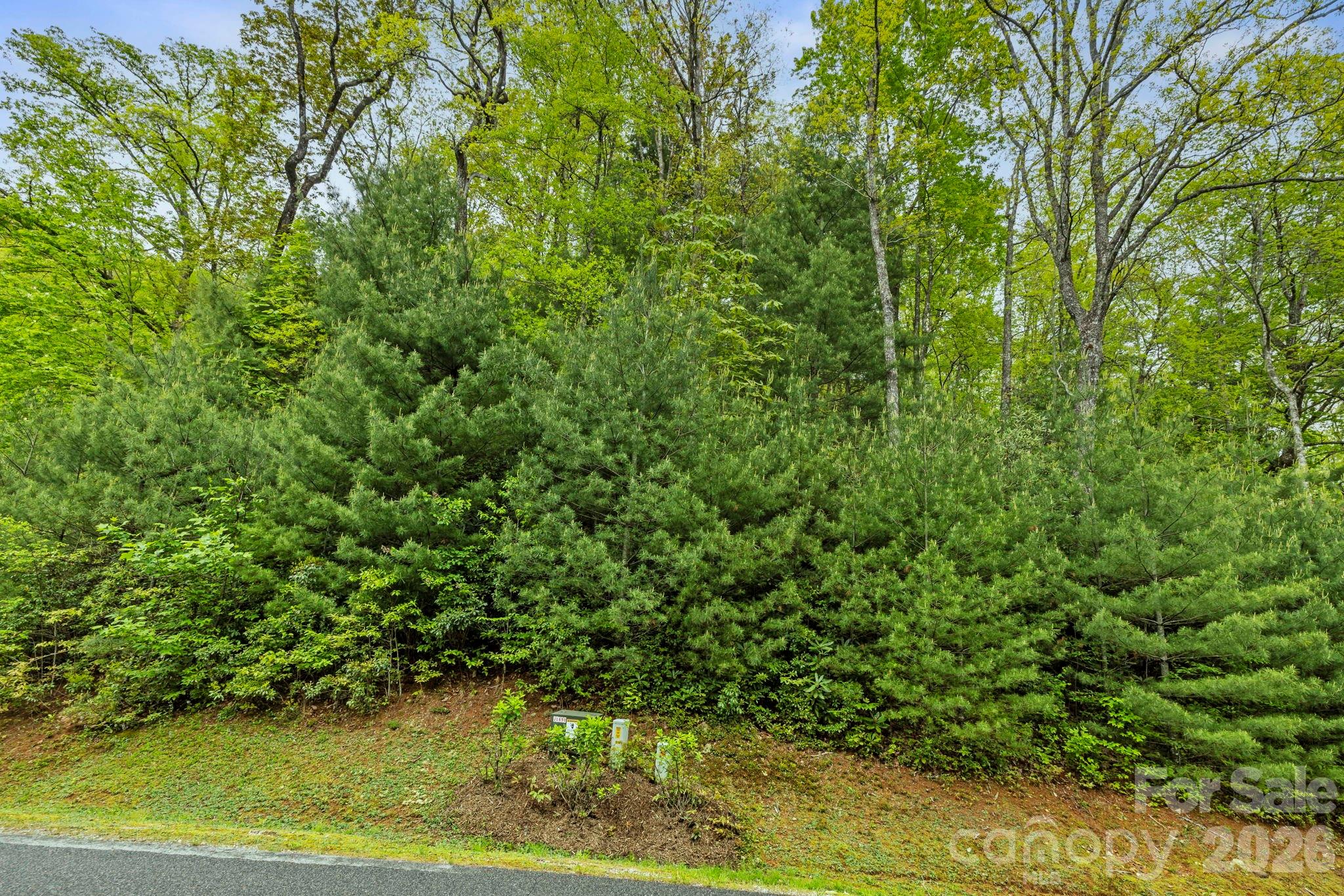 Homes for sale in Sapphire, NC | Tbd Hickory Shaft Dr, Sapphire, NC 28774 | MLS# 4386562