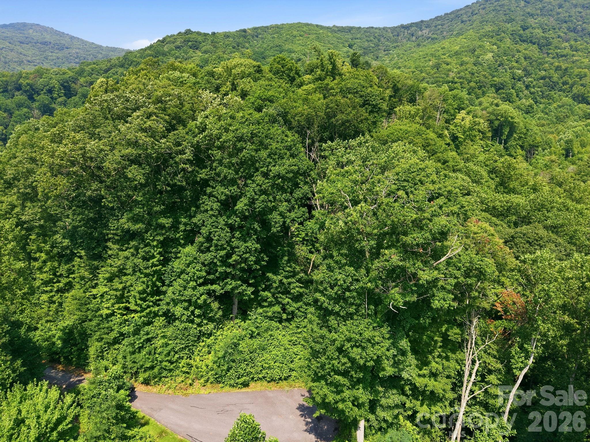 3rd image of 00 Triple Creek Dr #43, Clyde, NC 28721 | MLS# 4386733