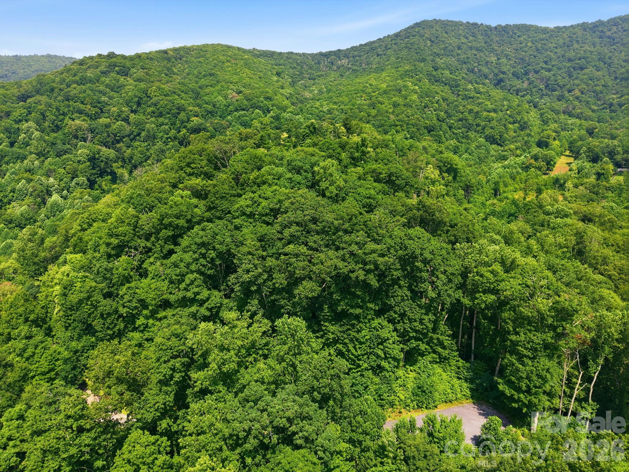 2nd image of 00 Triple Creek Dr #43, Clyde, NC 28721 | MLS# 4386733