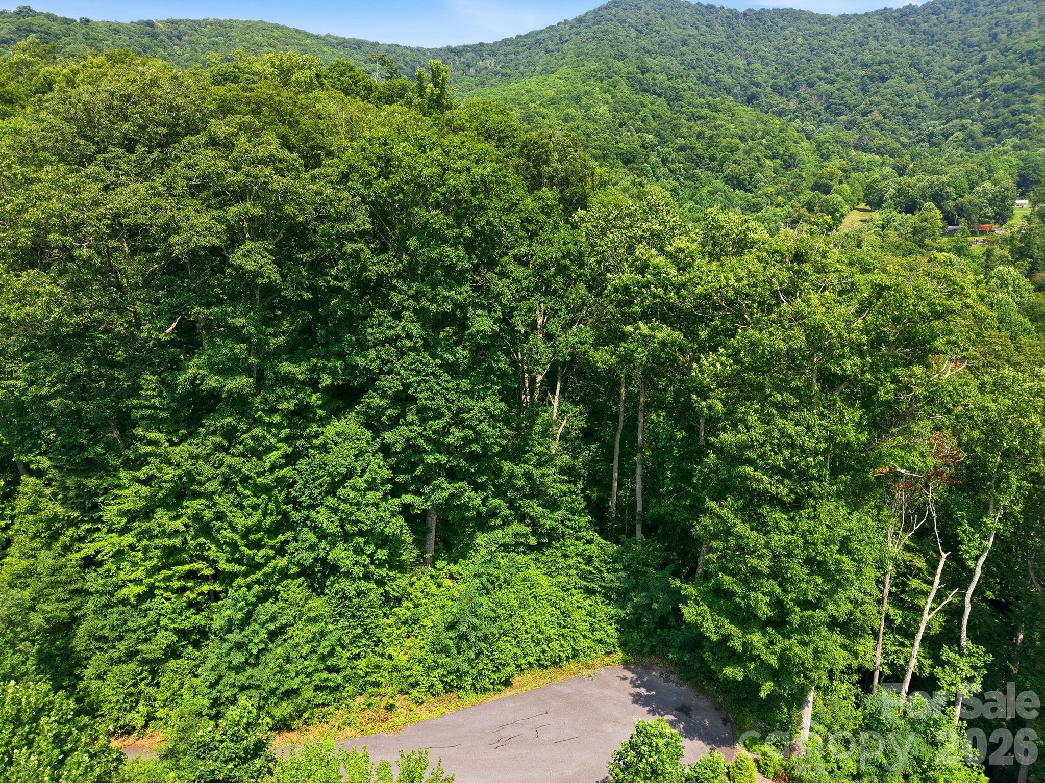 4th image of 00 Triple Creek Dr #43, Clyde, NC 28721 | MLS# 4386733