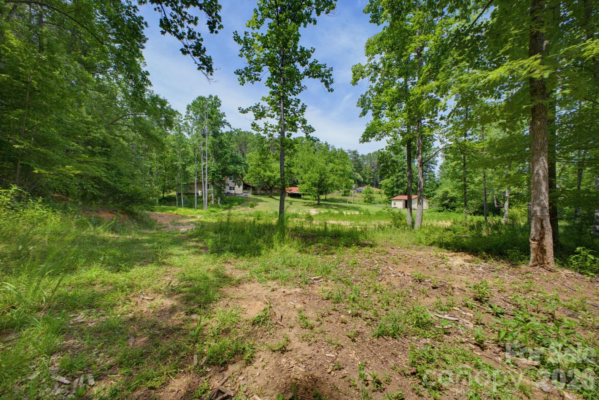 48th image of 1239 W Mcguinn Rd, Mill Spring, NC 28756 | MLS# 4387532