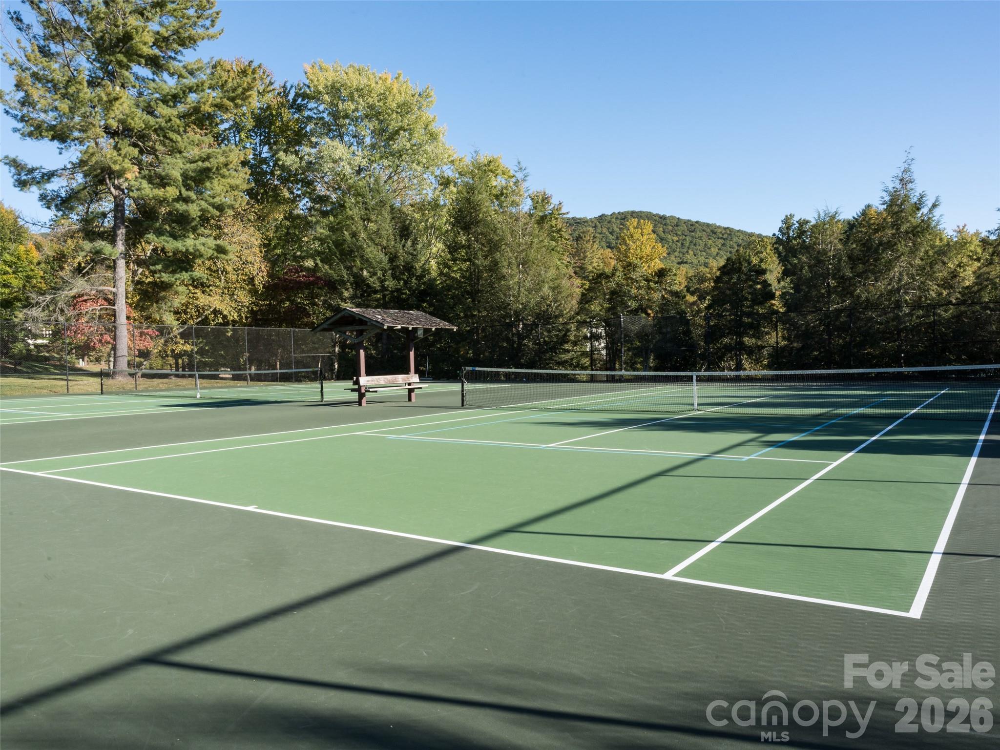 Homes for sale in Biltmore Lake, NC | 26 Black Horse Run, Biltmore Lake, NC 28715 | MLS# 4387544