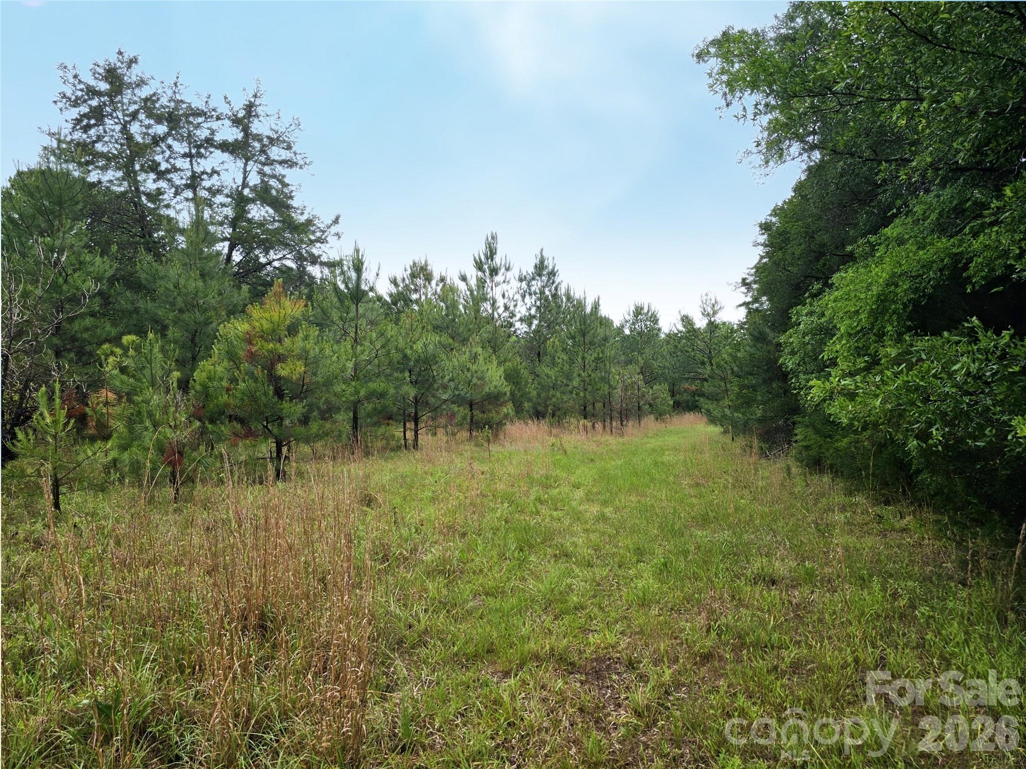 Homes for sale in Fort Lawn, SC | 0000 Shirley Rd, Fort Lawn, SC 29714 | MLS# 4387801