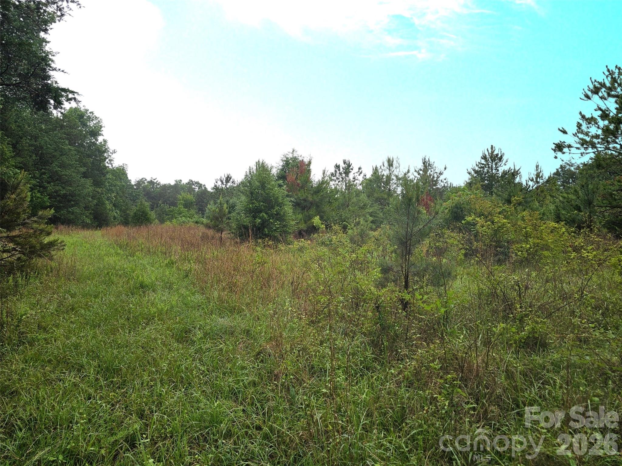 Homes for sale in Fort Lawn, SC | 0000 Shirley Rd, Fort Lawn, SC 29714 | MLS# 4387801