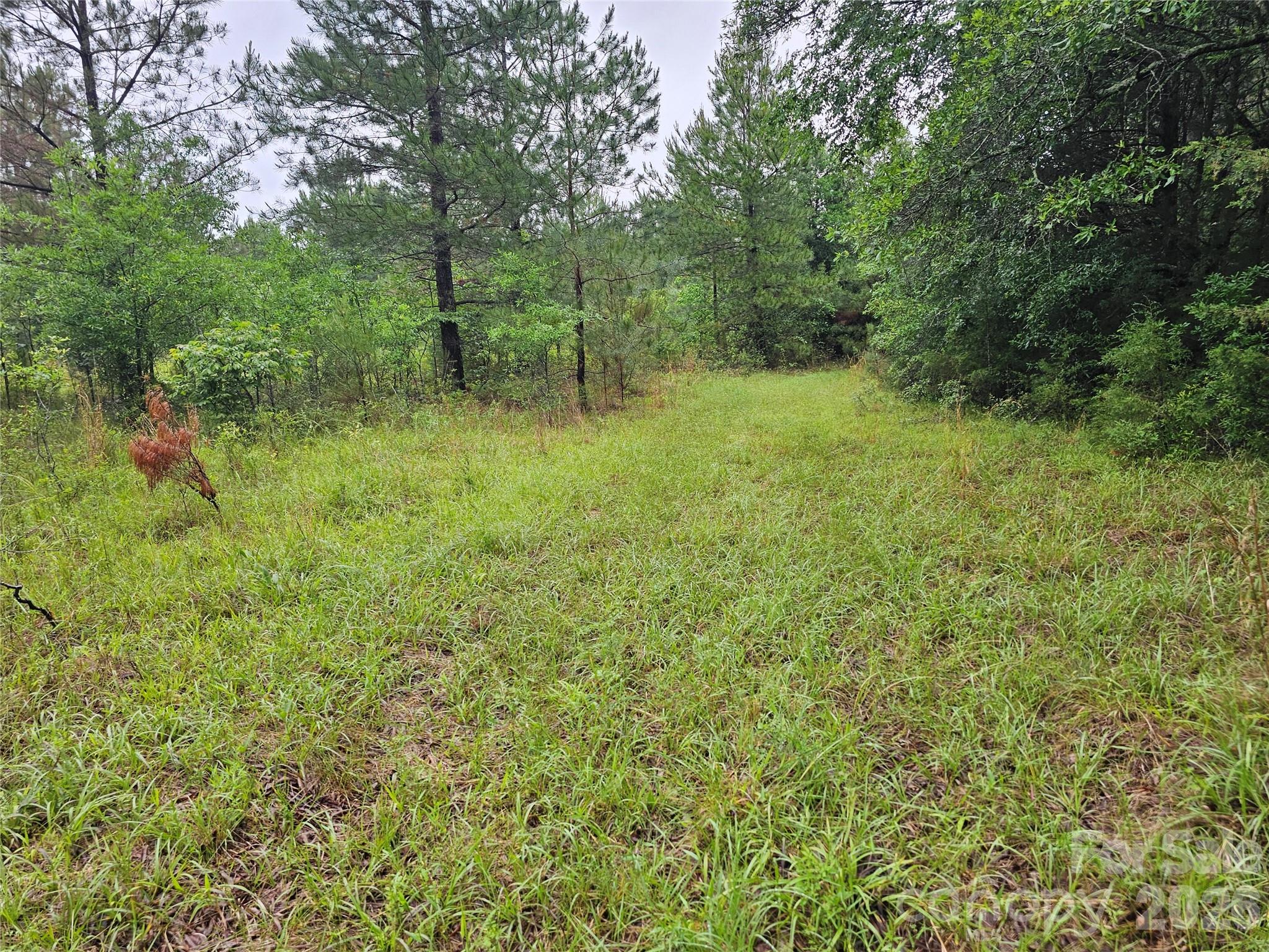 Homes for sale in Fort Lawn, SC | 0000 Shirley Rd, Fort Lawn, SC 29714 | MLS# 4387801