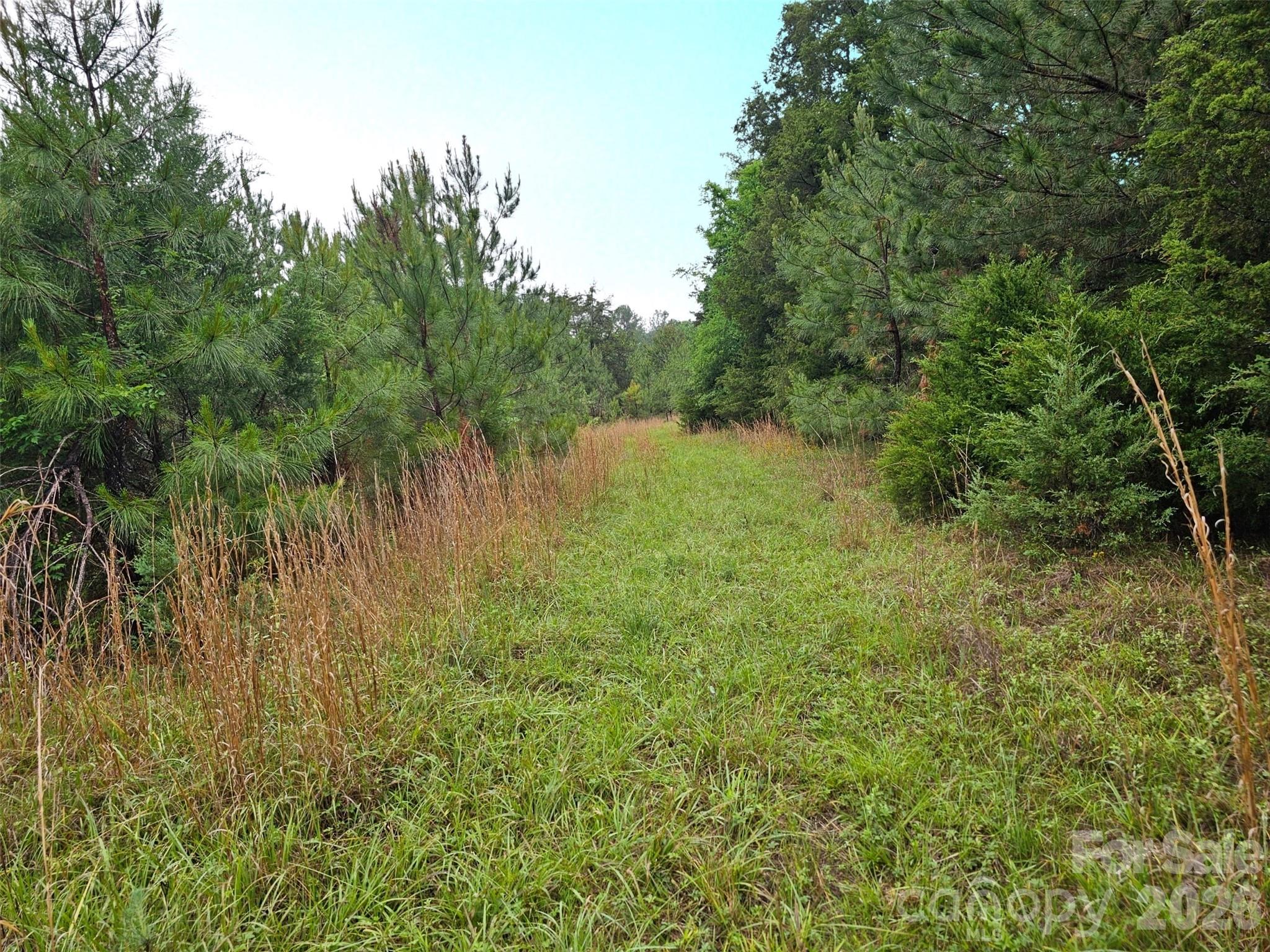 Homes for sale in Fort Lawn, SC | 0000 Shirley Rd, Fort Lawn, SC 29714 | MLS# 4387801