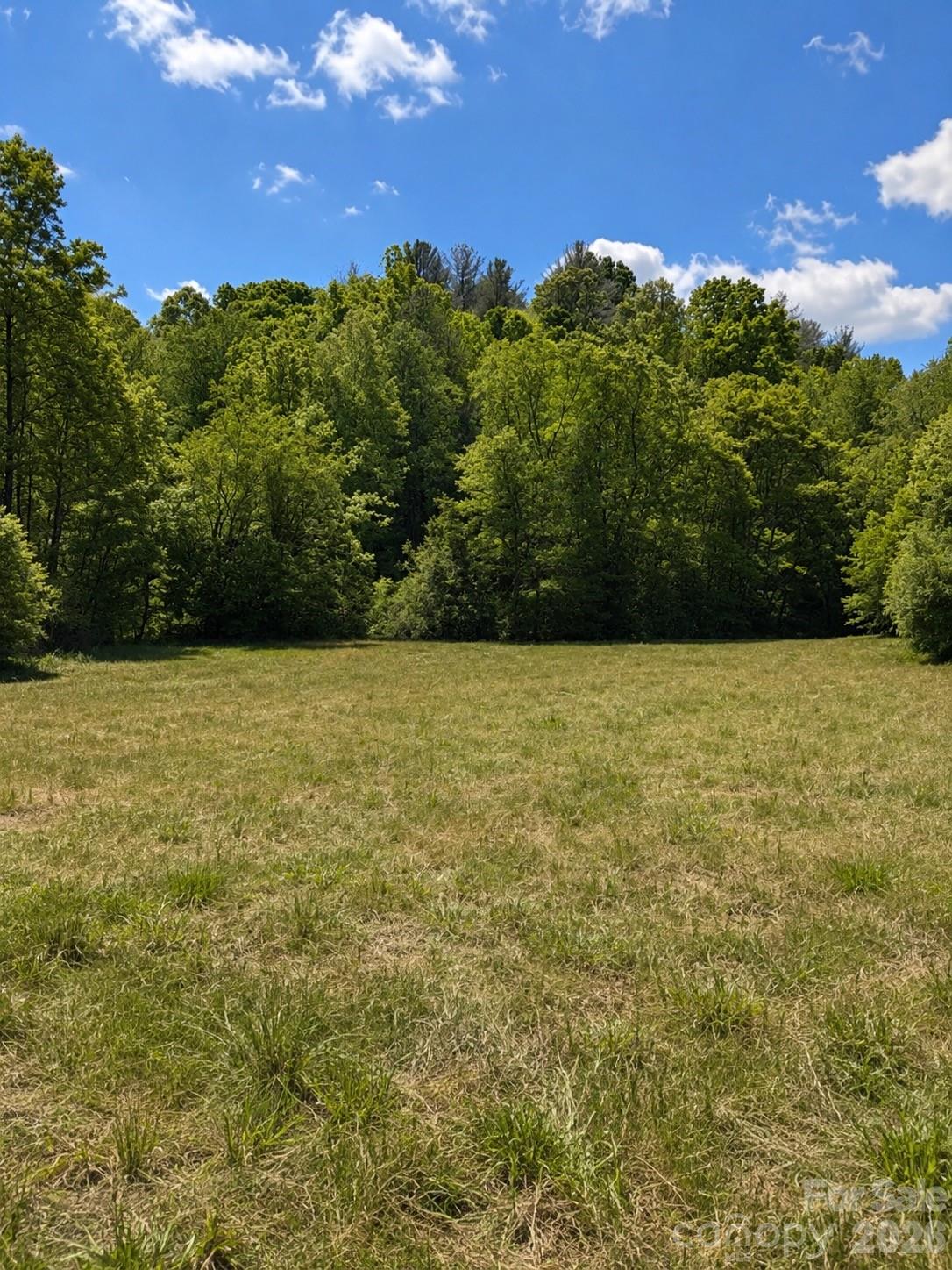 Homes for sale in Roaring River, NC | 8186 Old State Hwy, Roaring River, NC 28697 | MLS# 4387839