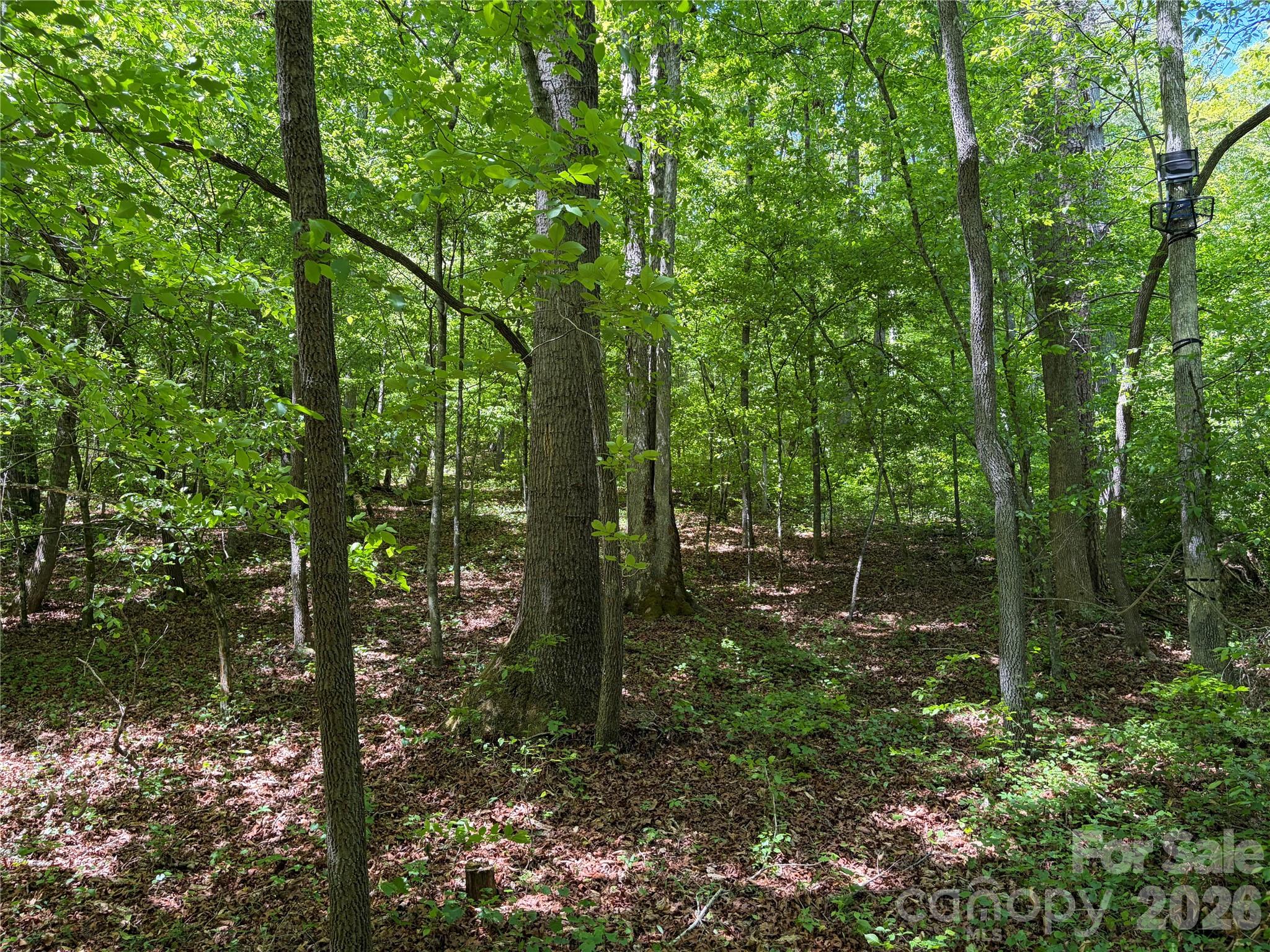 Homes for sale in Roaring River, NC | 8186 Old State Hwy, Roaring River, NC 28697 | MLS# 4387839