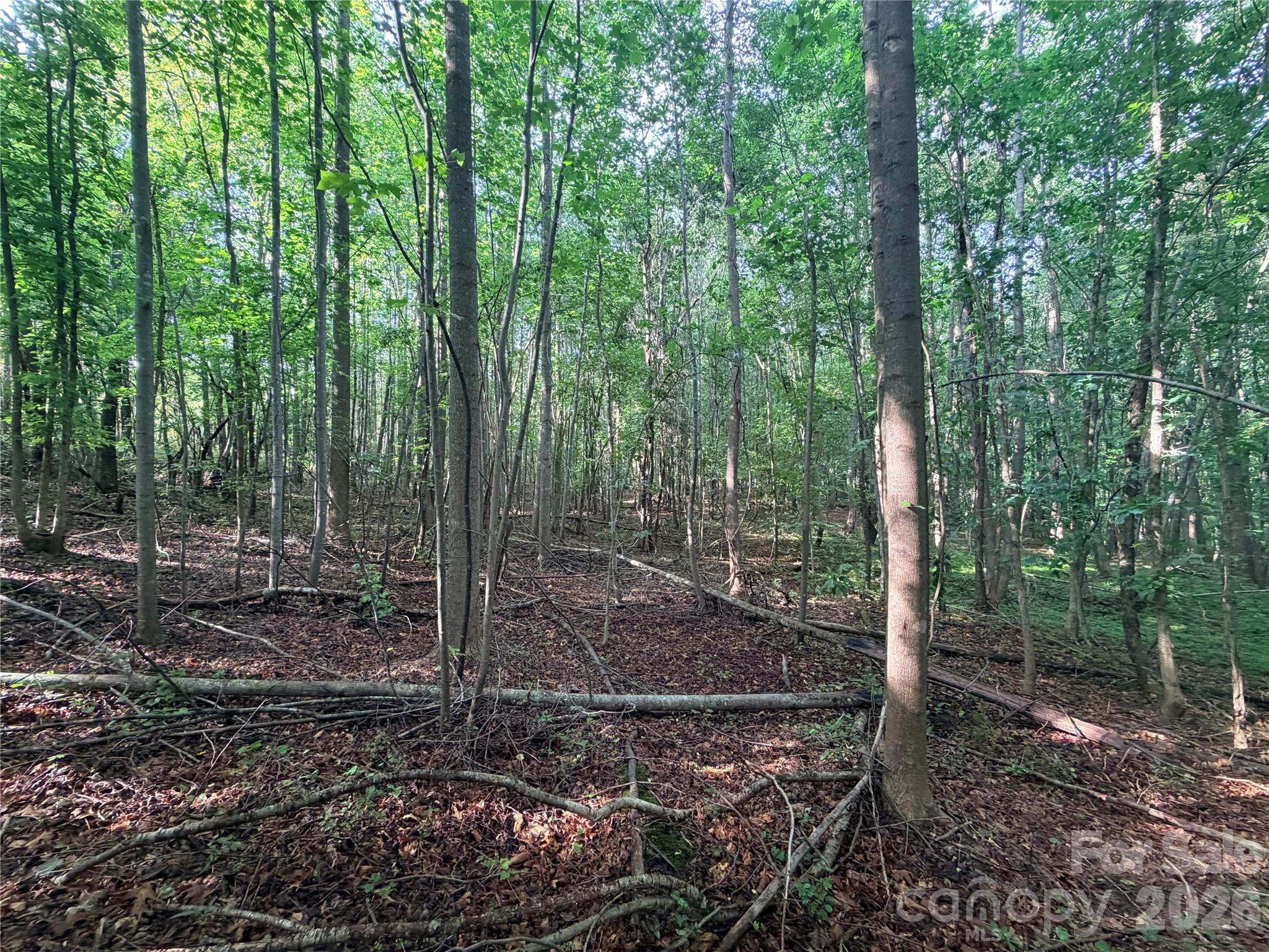 Homes for sale in Lawndale, NC | Lot 3 Schenck Farm Rd, Lawndale, NC 28090 | MLS# 4388590