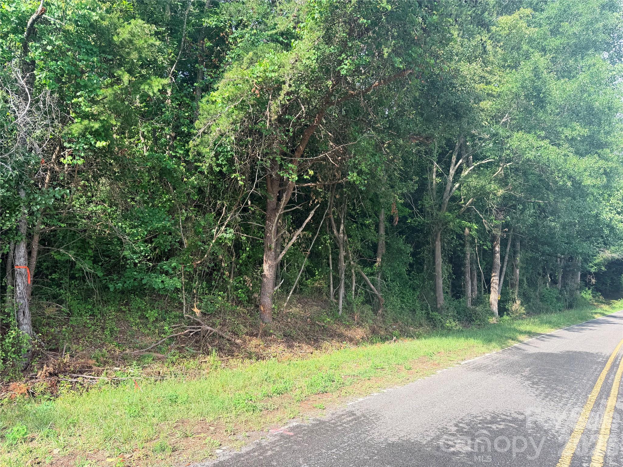 Homes for sale in Lawndale, NC | Lot 3 Schenck Farm Rd, Lawndale, NC 28090 | MLS# 4388590