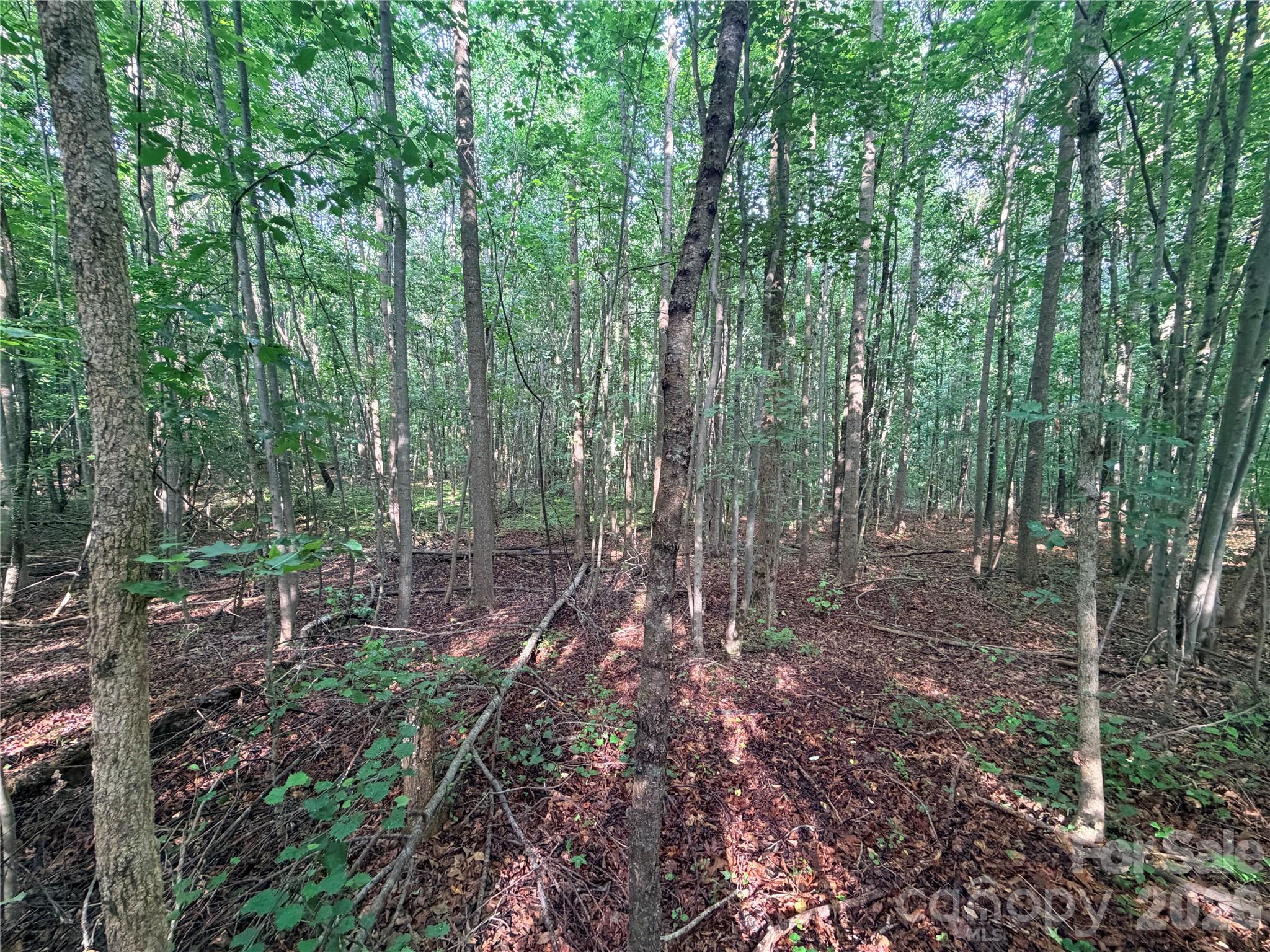 Homes for sale in Lawndale, NC | Lot 3 Schenck Farm Rd, Lawndale, NC 28090 | MLS# 4388590