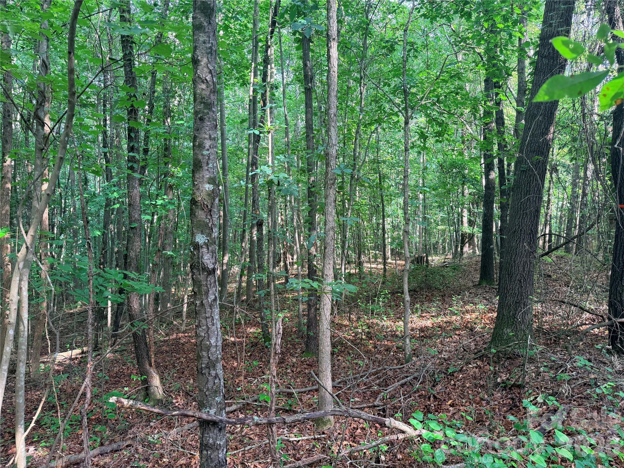 Homes for sale in Lawndale, NC | Lot 3 Schenck Farm Rd, Lawndale, NC 28090 | MLS# 4388590