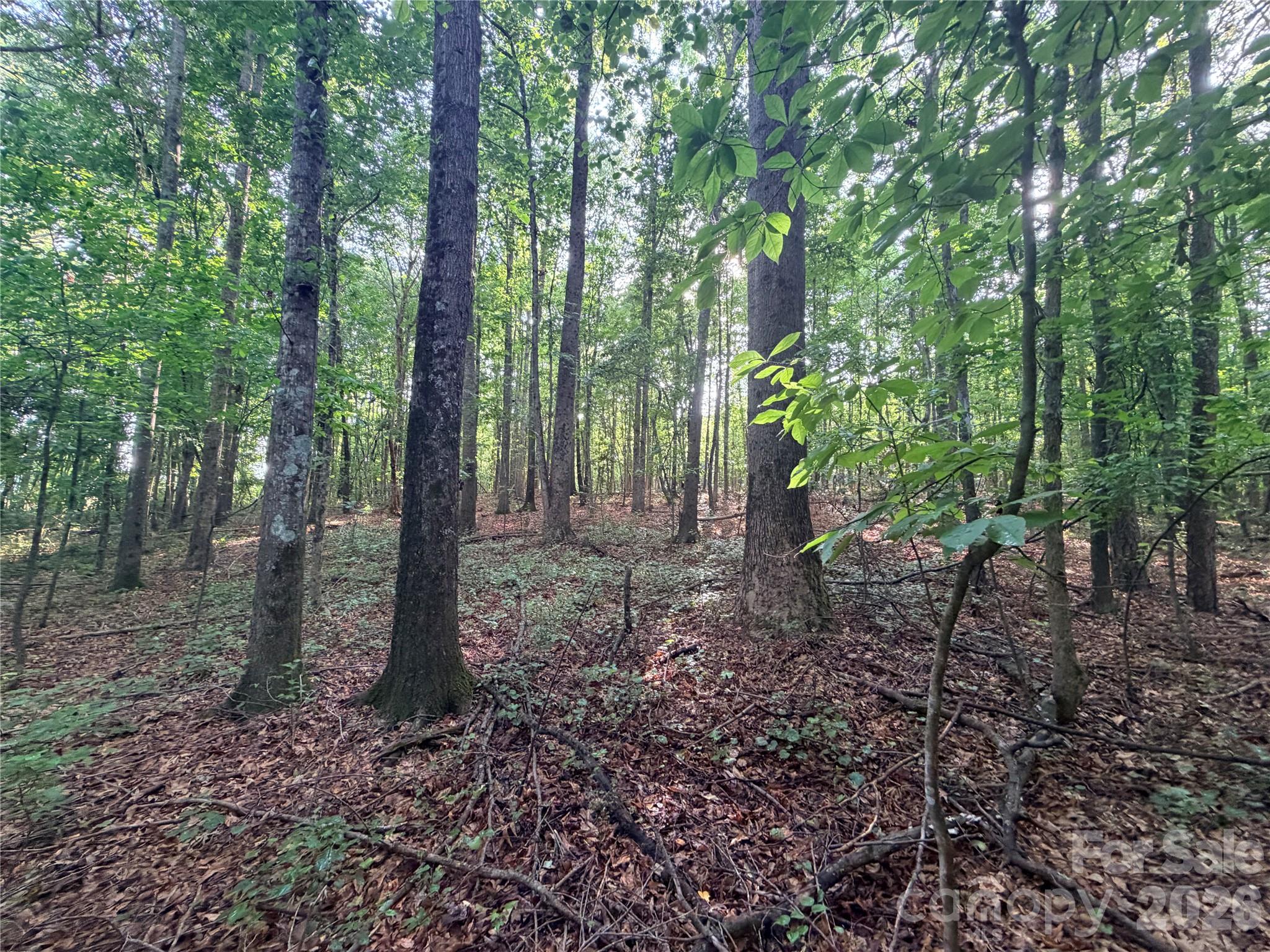 Homes for sale in Lawndale, NC | Lot 3 Schenck Farm Rd, Lawndale, NC 28090 | MLS# 4388590