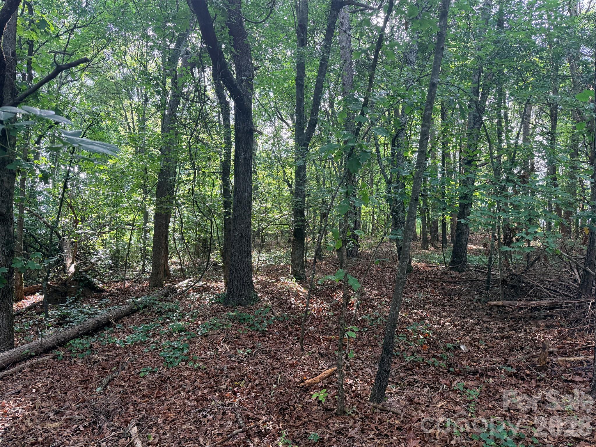 Homes for sale in Lawndale, NC | Lot 1 Schenck Farm Rd, Lawndale, NC 28090 | MLS# 4388626