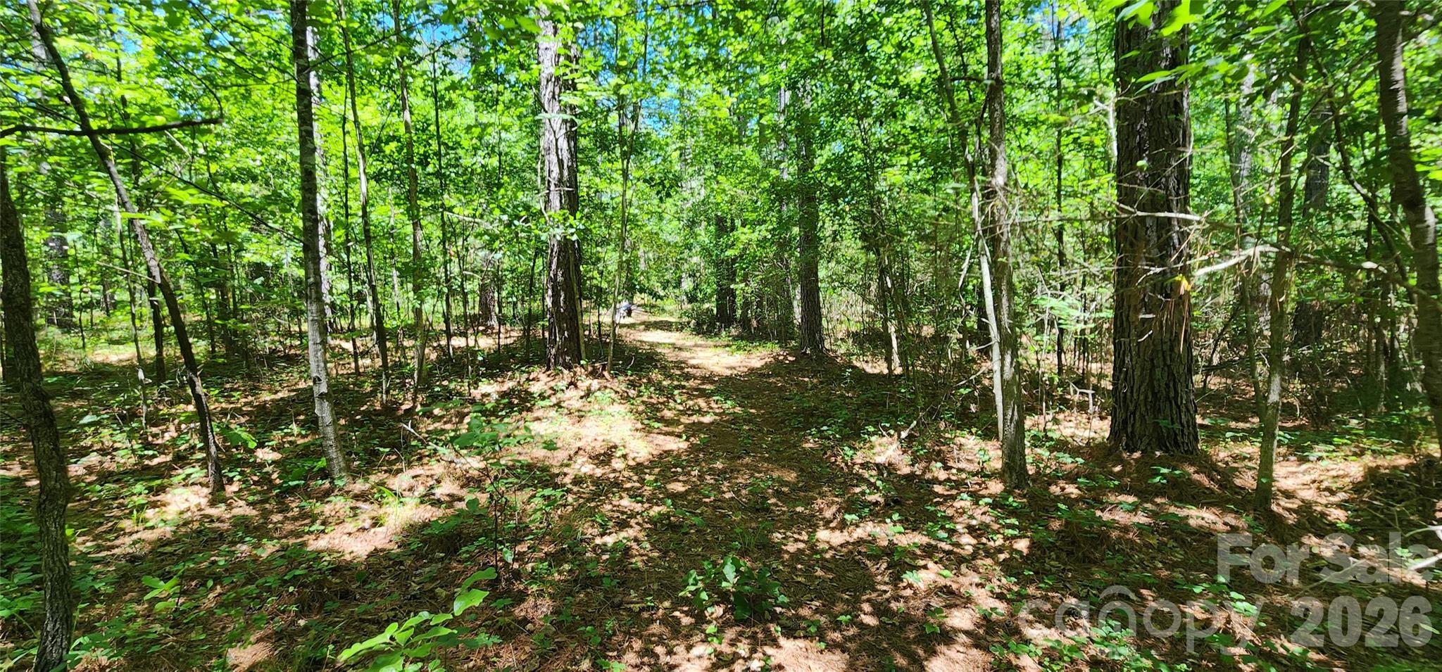 Homes for sale in Mill Spring, NC | 171 Bambi Ln, Mill Spring, NC 28782 | MLS# 4389526
