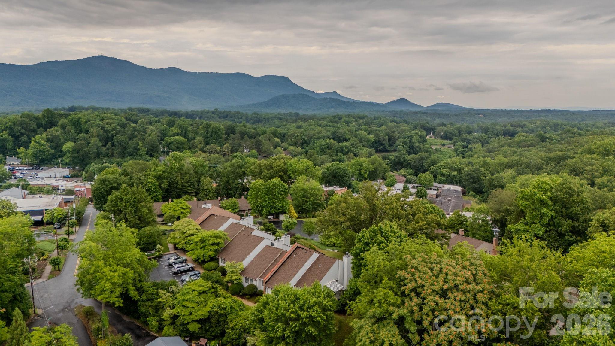 Homes for sale in Tryon, NC | 77 Chestnut St #106, Tryon, NC 28782 | MLS# 4389953