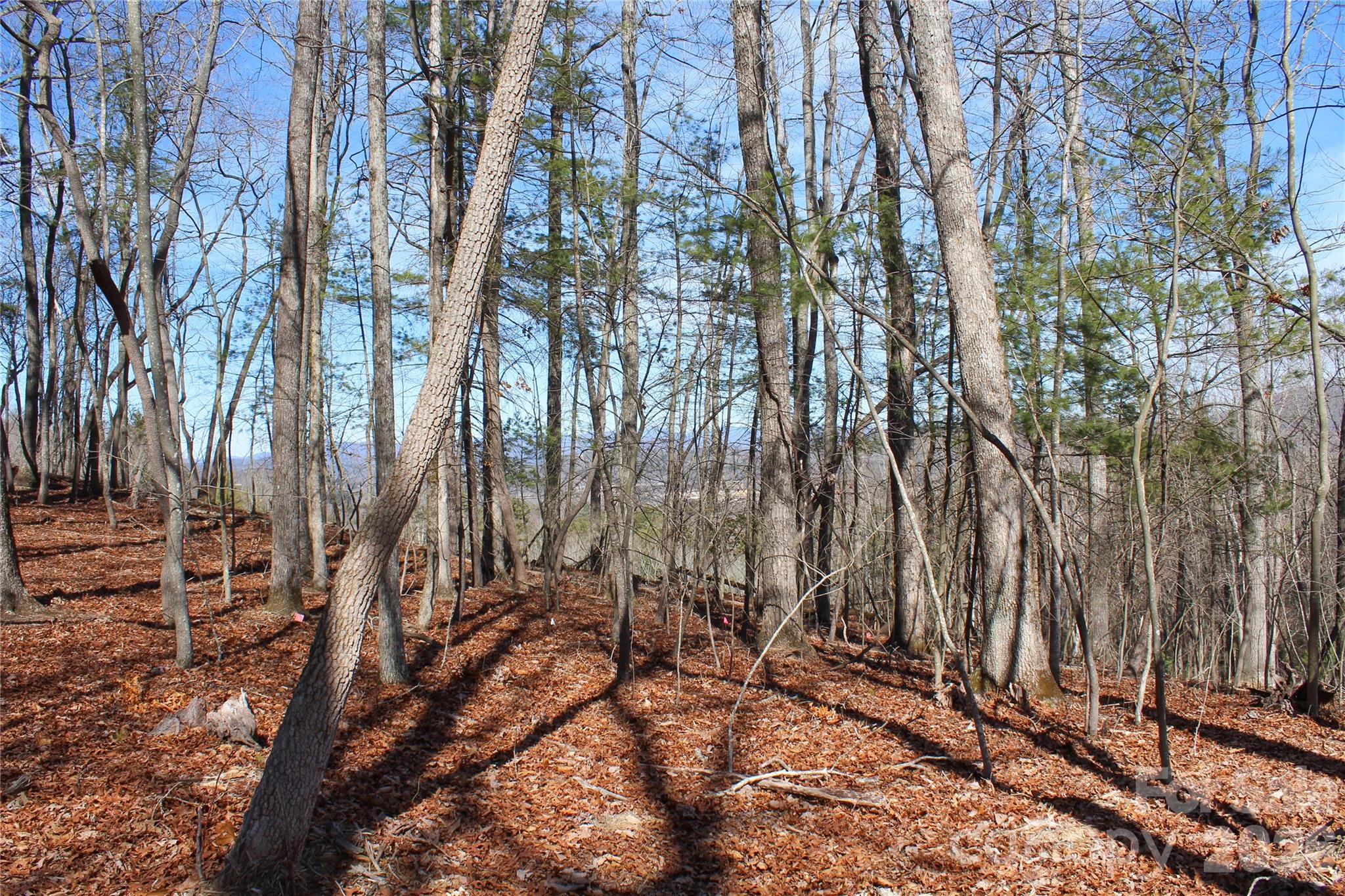 4th image of 000 Northview Dr #12, Hendersonville, NC 28791 | MLS# 4391273