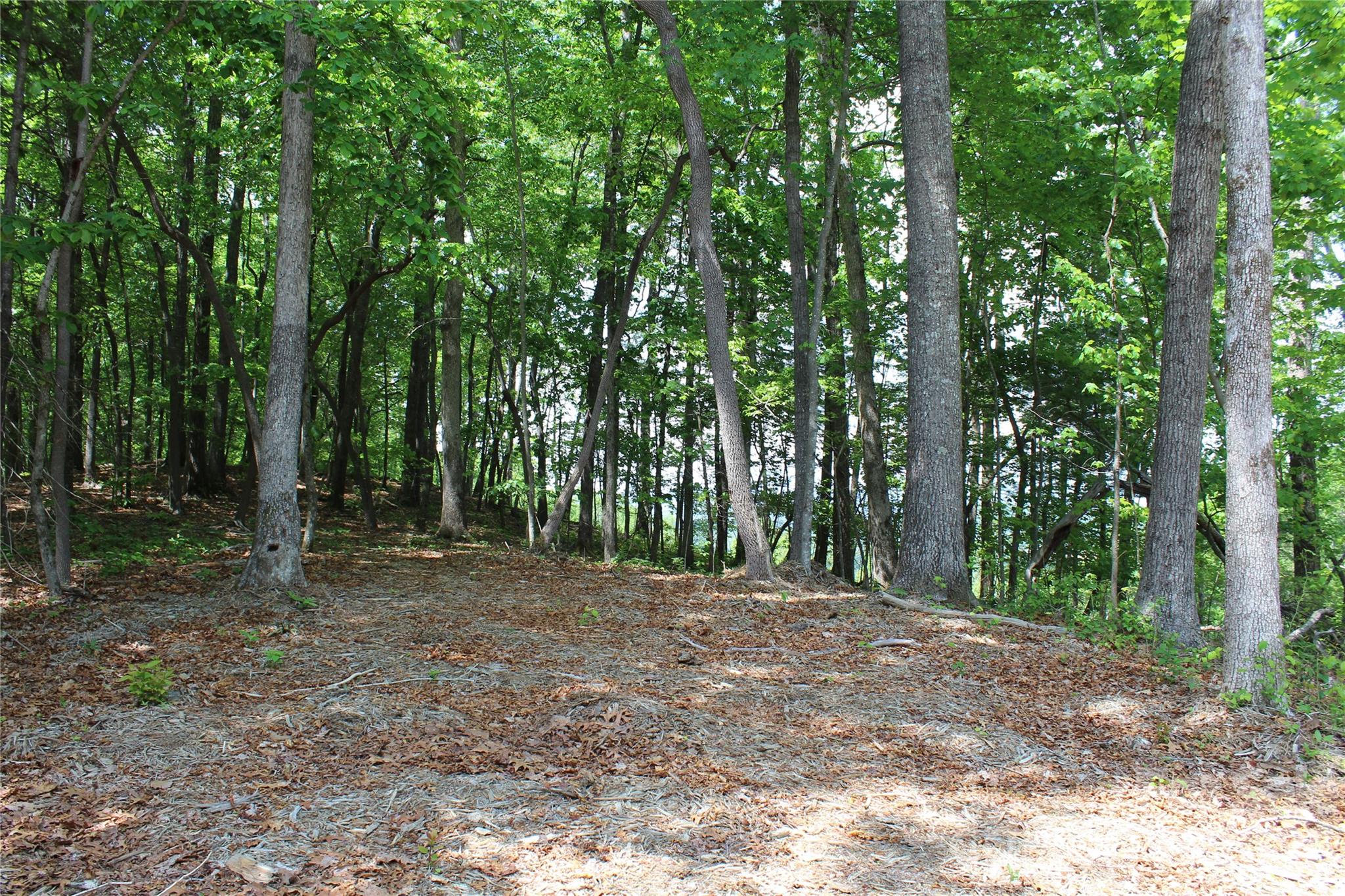 2nd image of 000 Northview Dr #12, Hendersonville, NC 28791 | MLS# 4391273