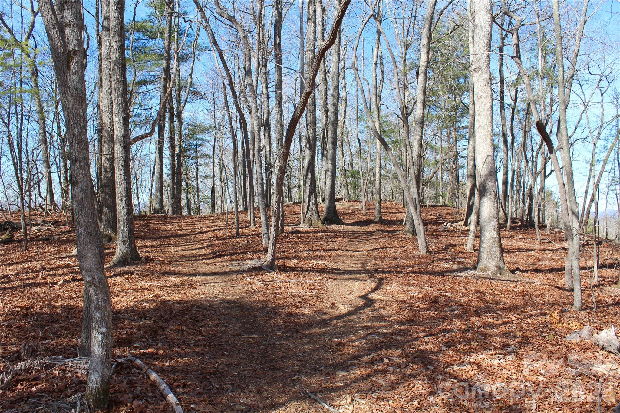 5th image of 000 Northview Dr #12, Hendersonville, NC 28791 | MLS# 4391273
