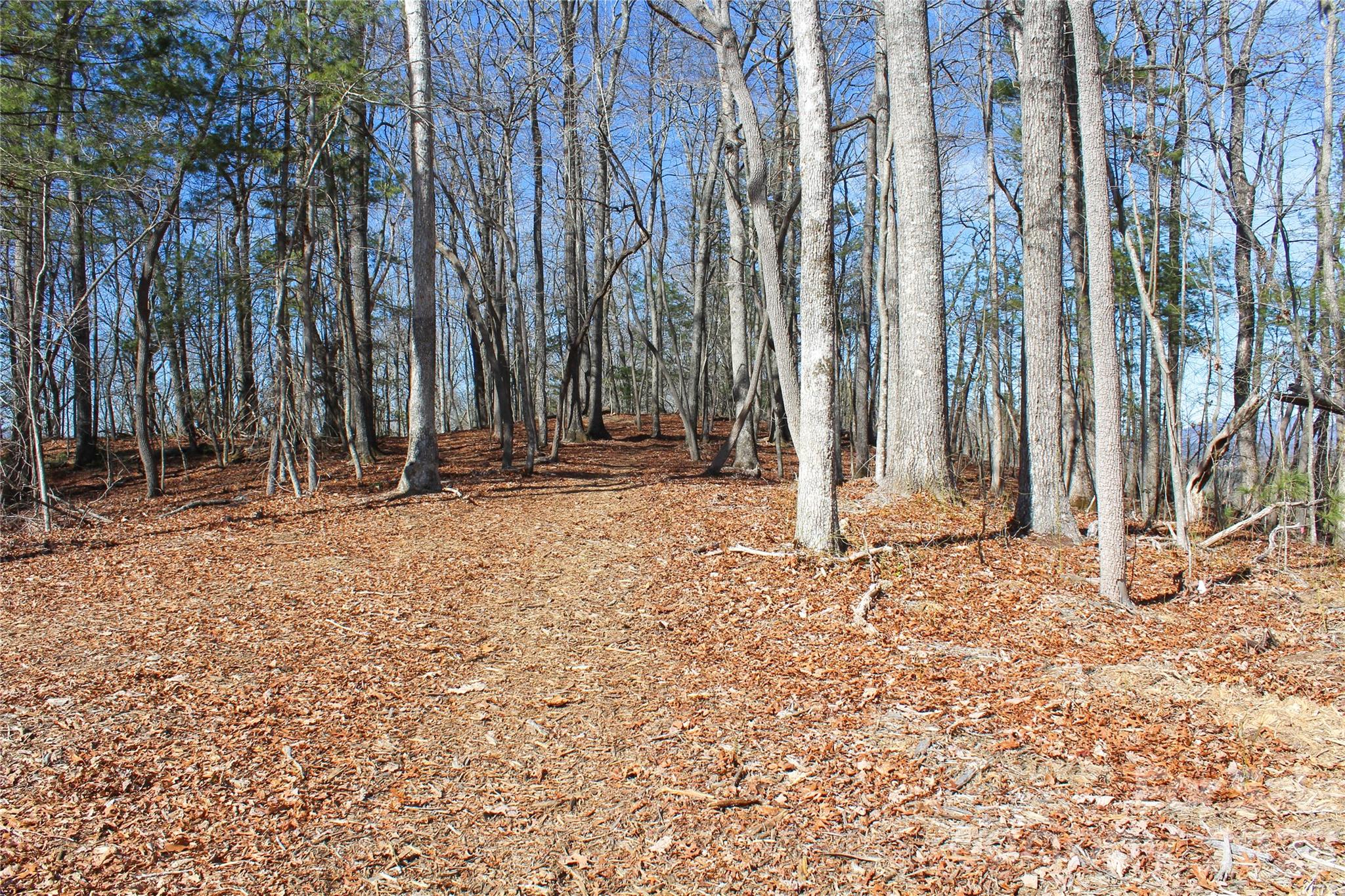 3rd image of 000 Northview Dr #12, Hendersonville, NC 28791 | MLS# 4391273