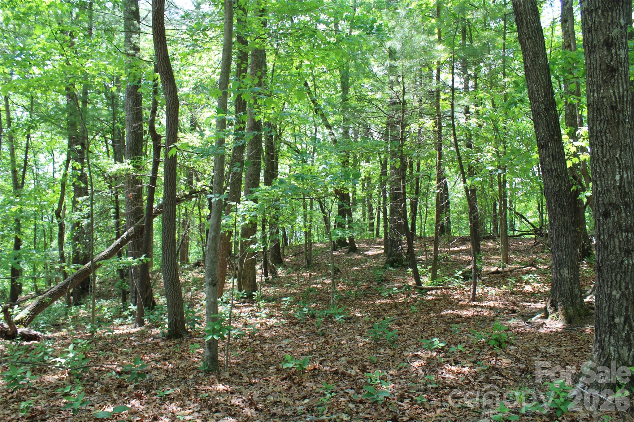 7th image of 000 Northview Dr #13, Hendersonville, NC 28791 | MLS# 4391275