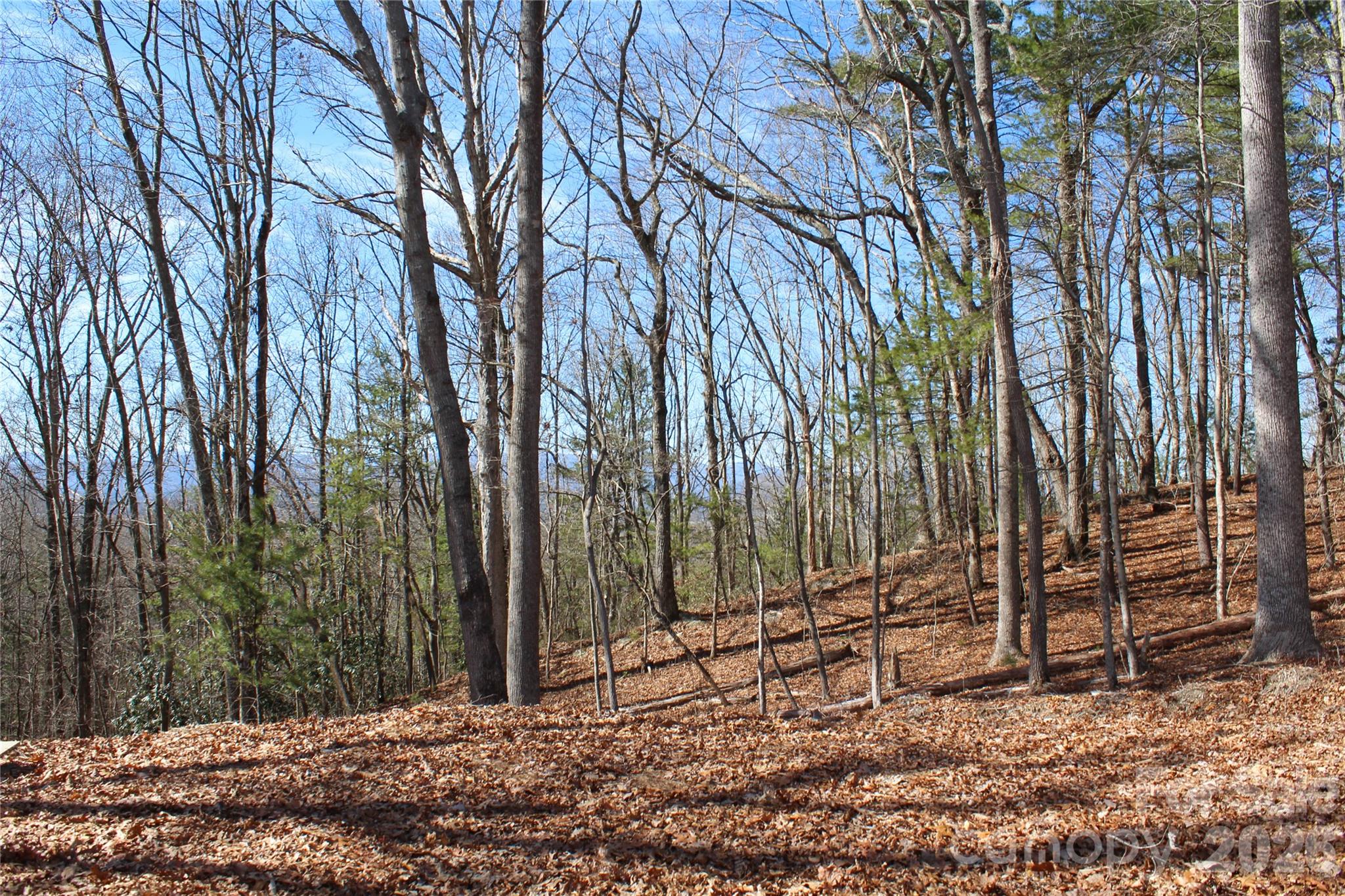 5th image of 000 Northview Dr #13, Hendersonville, NC 28791 | MLS# 4391275