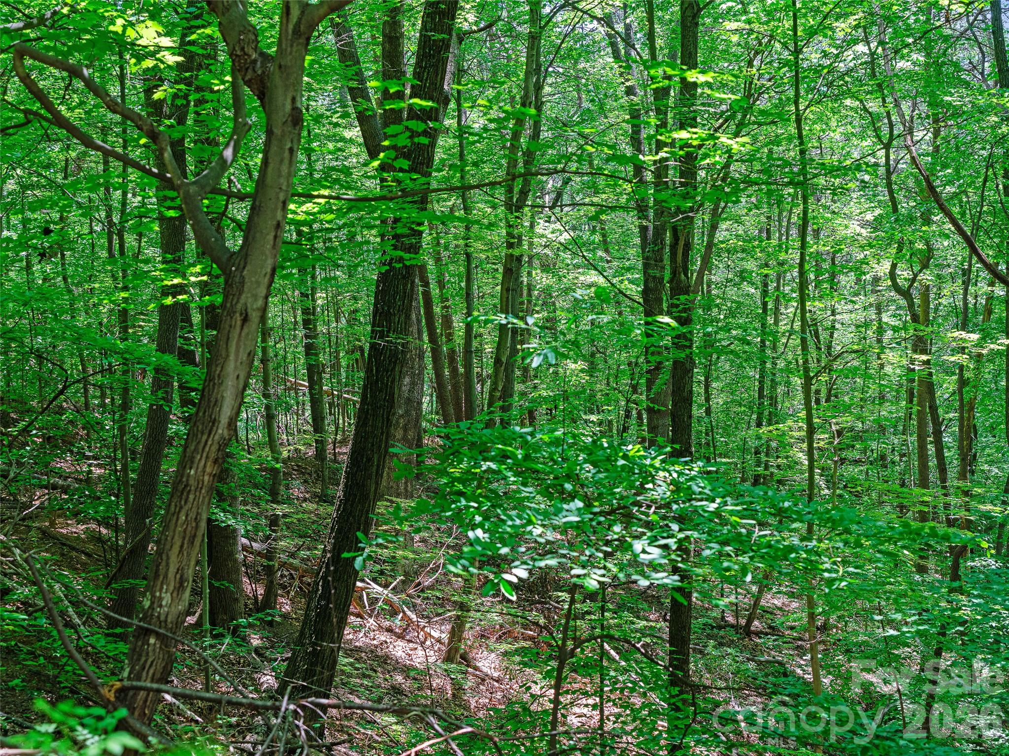 4th image of 9999 Lovebird Ln #20, Candler, NC 28715 | MLS# 4391997