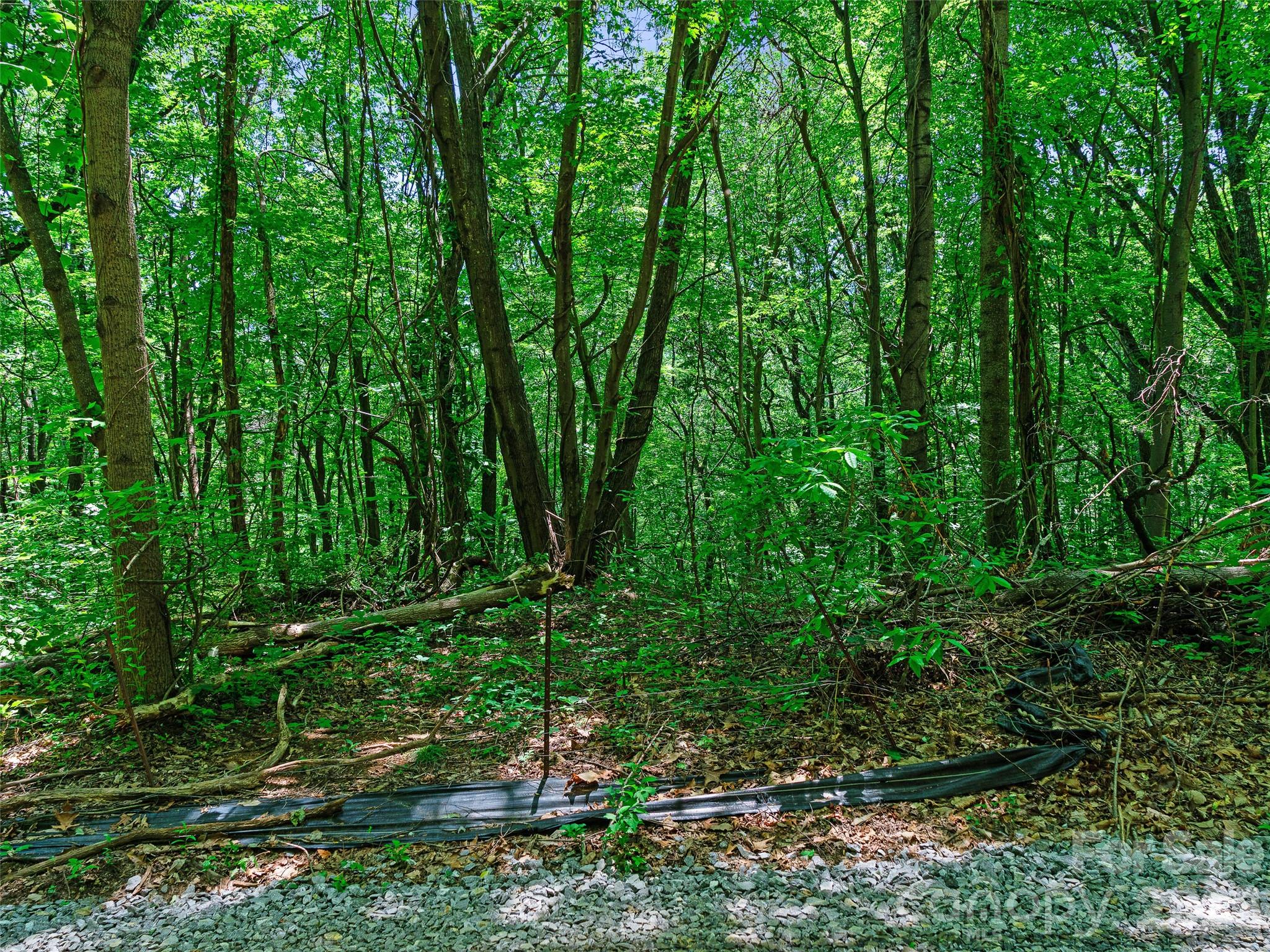 3rd image of 9999 Lovebird Ln #20, Candler, NC 28715 | MLS# 4391997