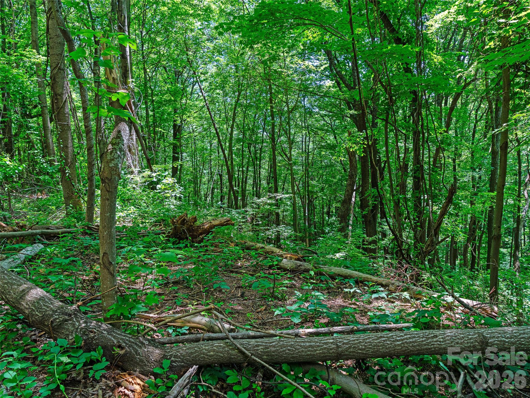 5th image of 9999 Lovebird Ln #23, Candler, NC 28715 | MLS# 4392011
