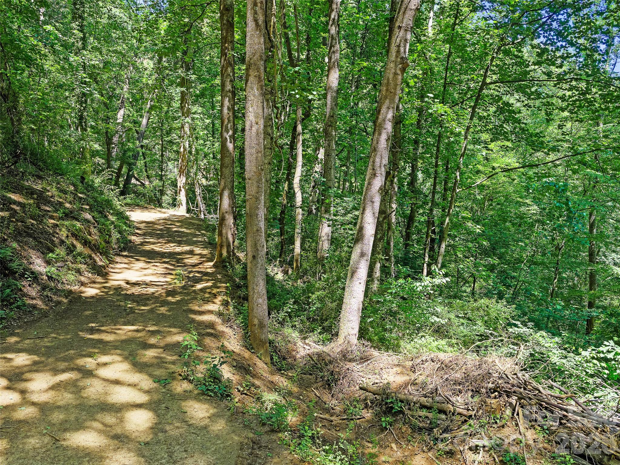 2nd image of 9999 Lovebird Ln #23, Candler, NC 28715 | MLS# 4392011