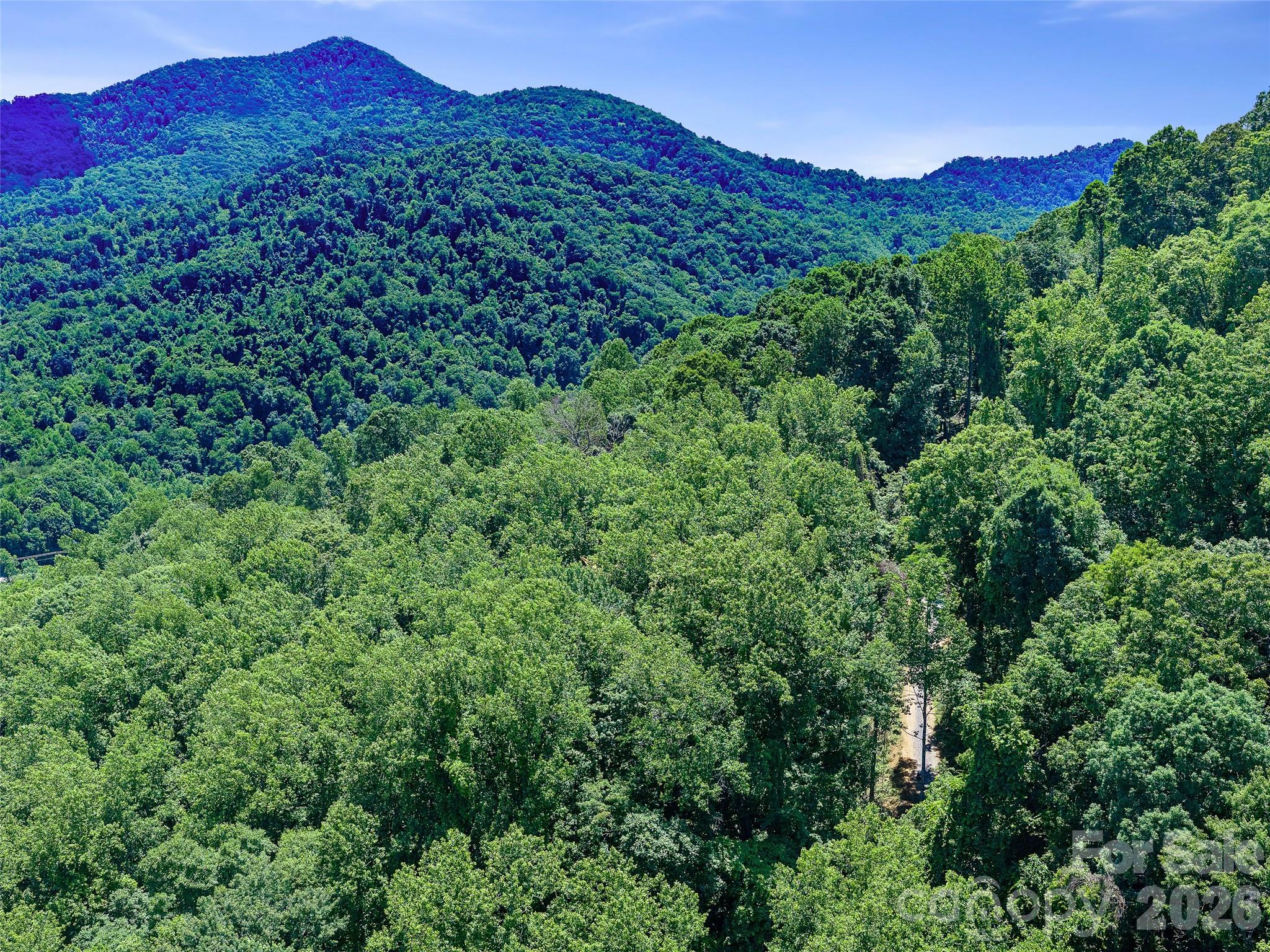 1st image of 9999 Lovebird Ln #23, Candler, NC 28715 | MLS# 4392011