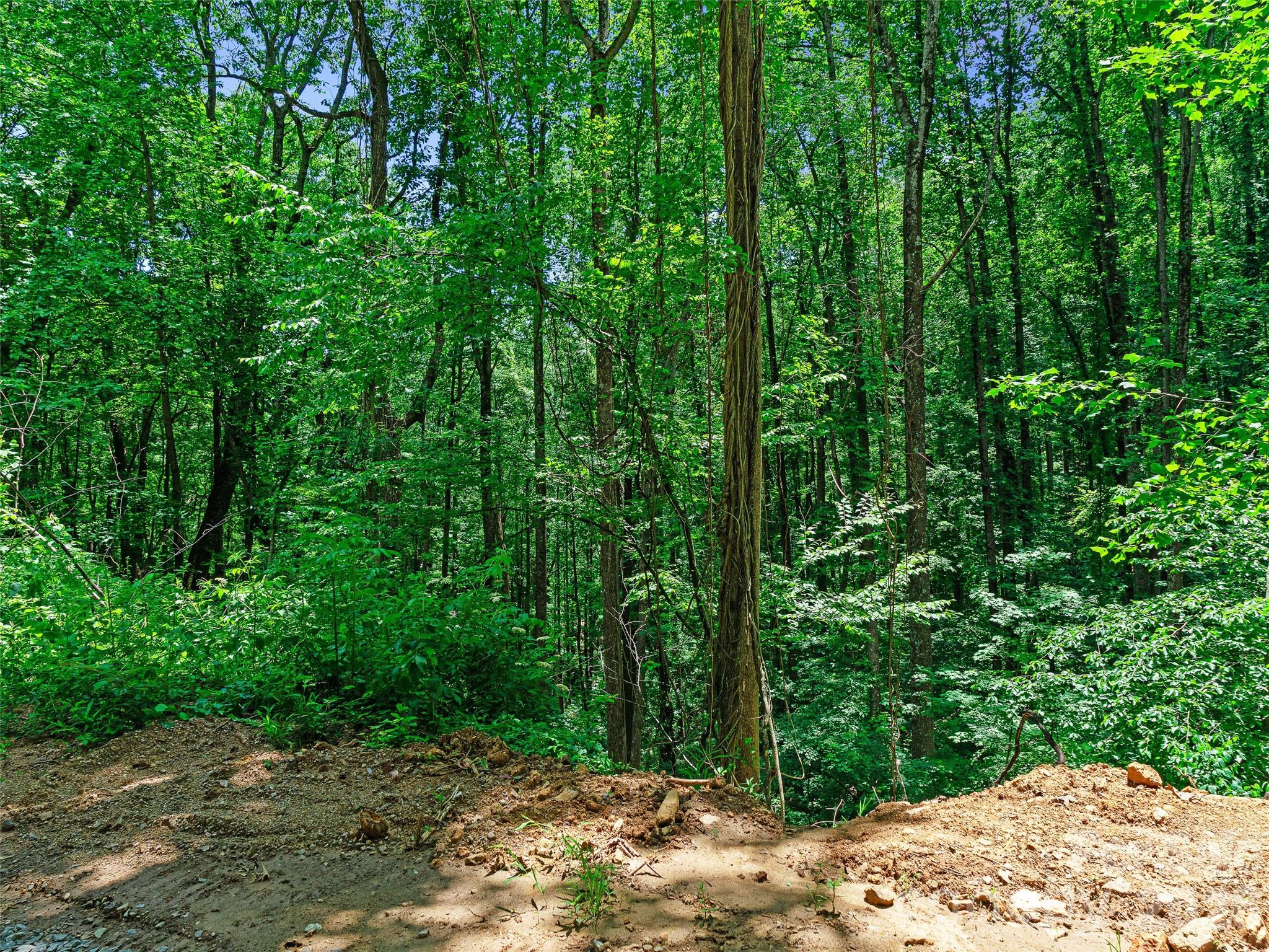 4th image of 9999 Lovebird Ln #23, Candler, NC 28715 | MLS# 4392011