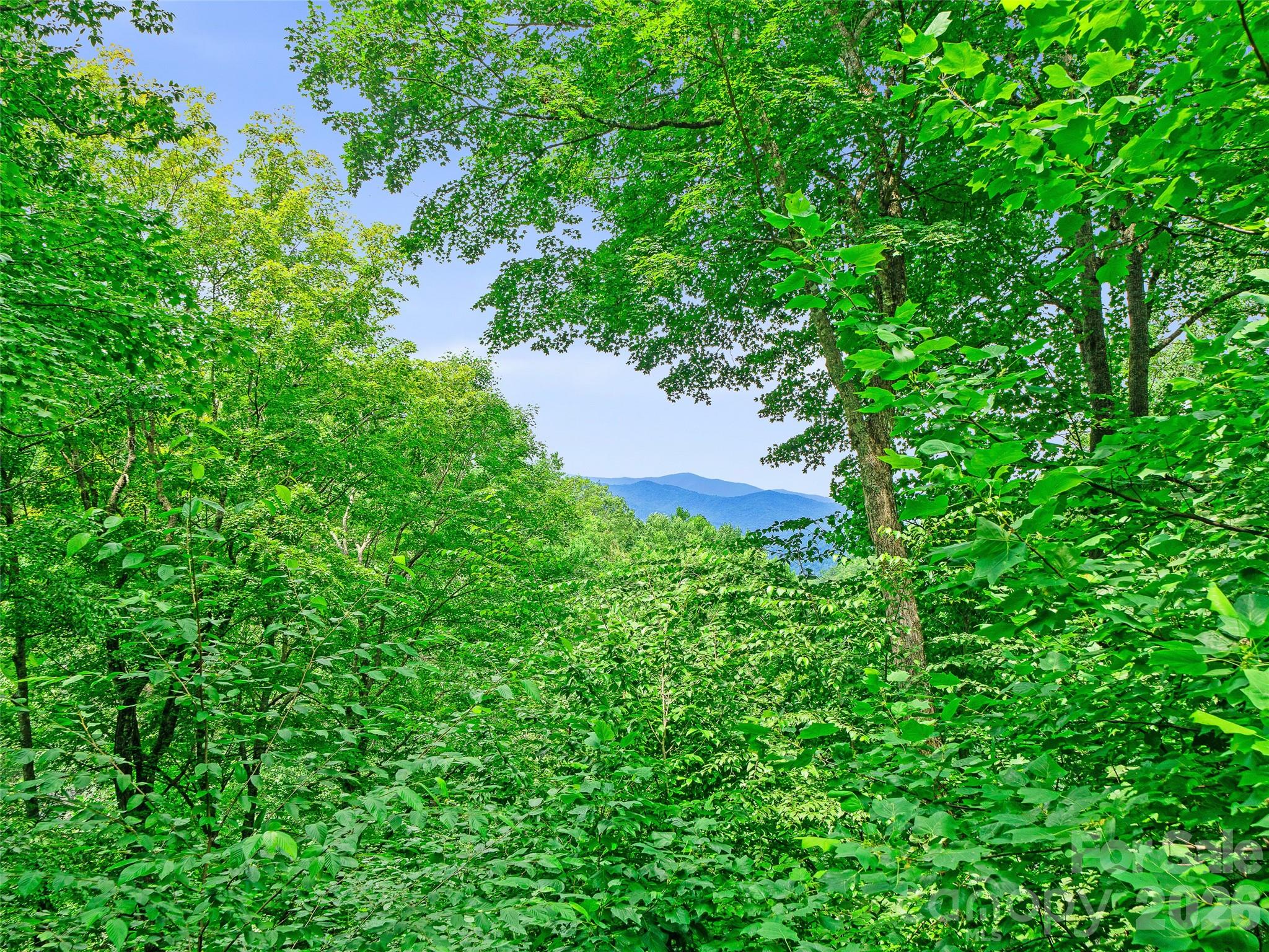 Photo 3 of Single family home for sale at 140 Falls Xing Rd, Burnsville, NC 28714 | MLS# 4393426 | Listing updated on 2026-09-03