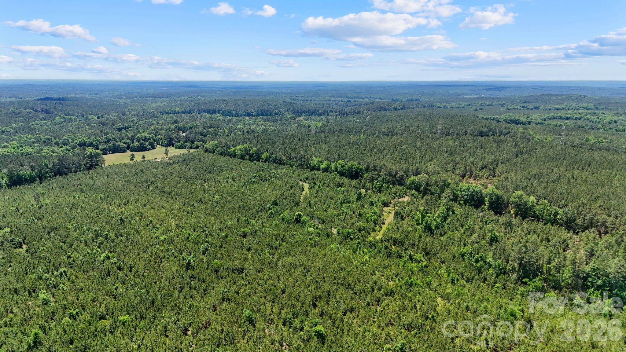 Homes for sale in Carlisle, SC | 0000 Cool Branch Rd #1, Carlisle, SC 29706 | MLS# 4394254