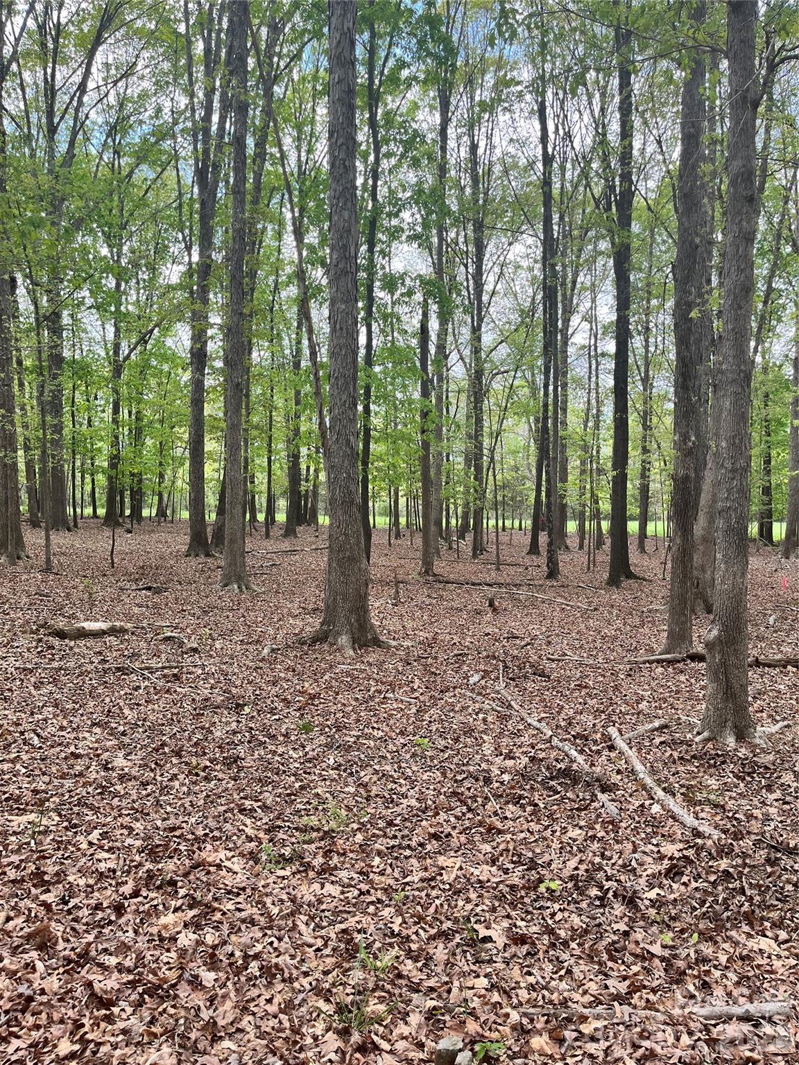 1st image of 001 Wolf Pond Rd, Monroe, NC 28112 | MLS# 4395778
