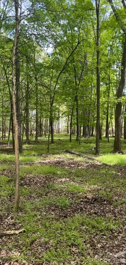 4th image of 001 Wolf Pond Rd, Monroe, NC 28112 | MLS# 4395778