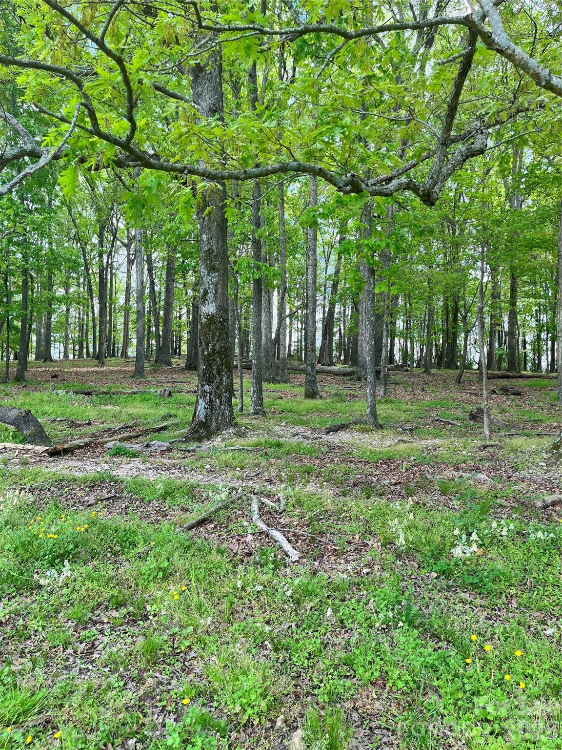 2nd image of 001 Wolf Pond Rd, Monroe, NC 28112 | MLS# 4395778