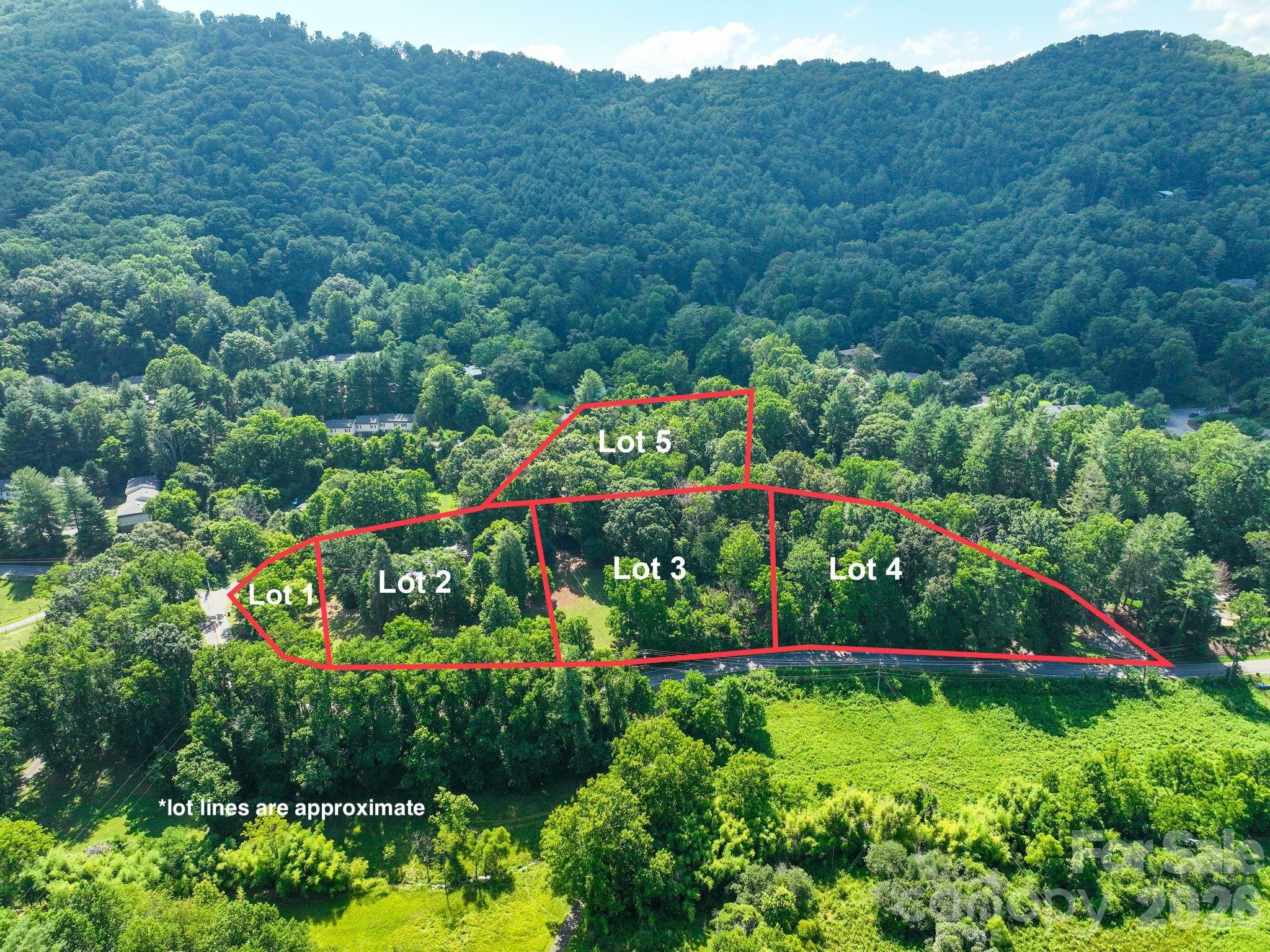 5th image of 371 Chunns Cove Rd, Asheville, NC 28805 | MLS# 4397925
