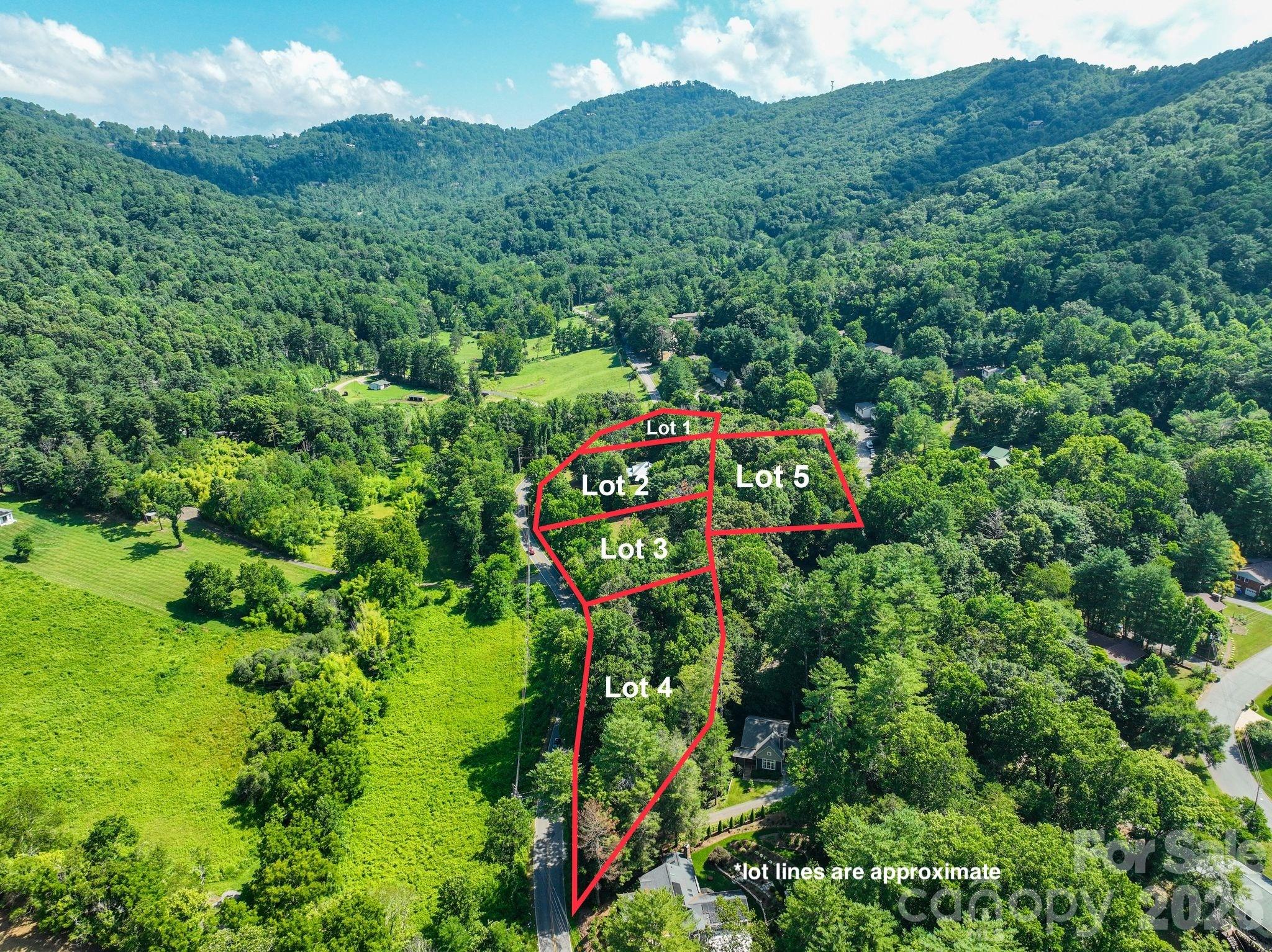 5th image of 353 Chunns Cove Rd, Asheville, NC 28805 | MLS# 4397934