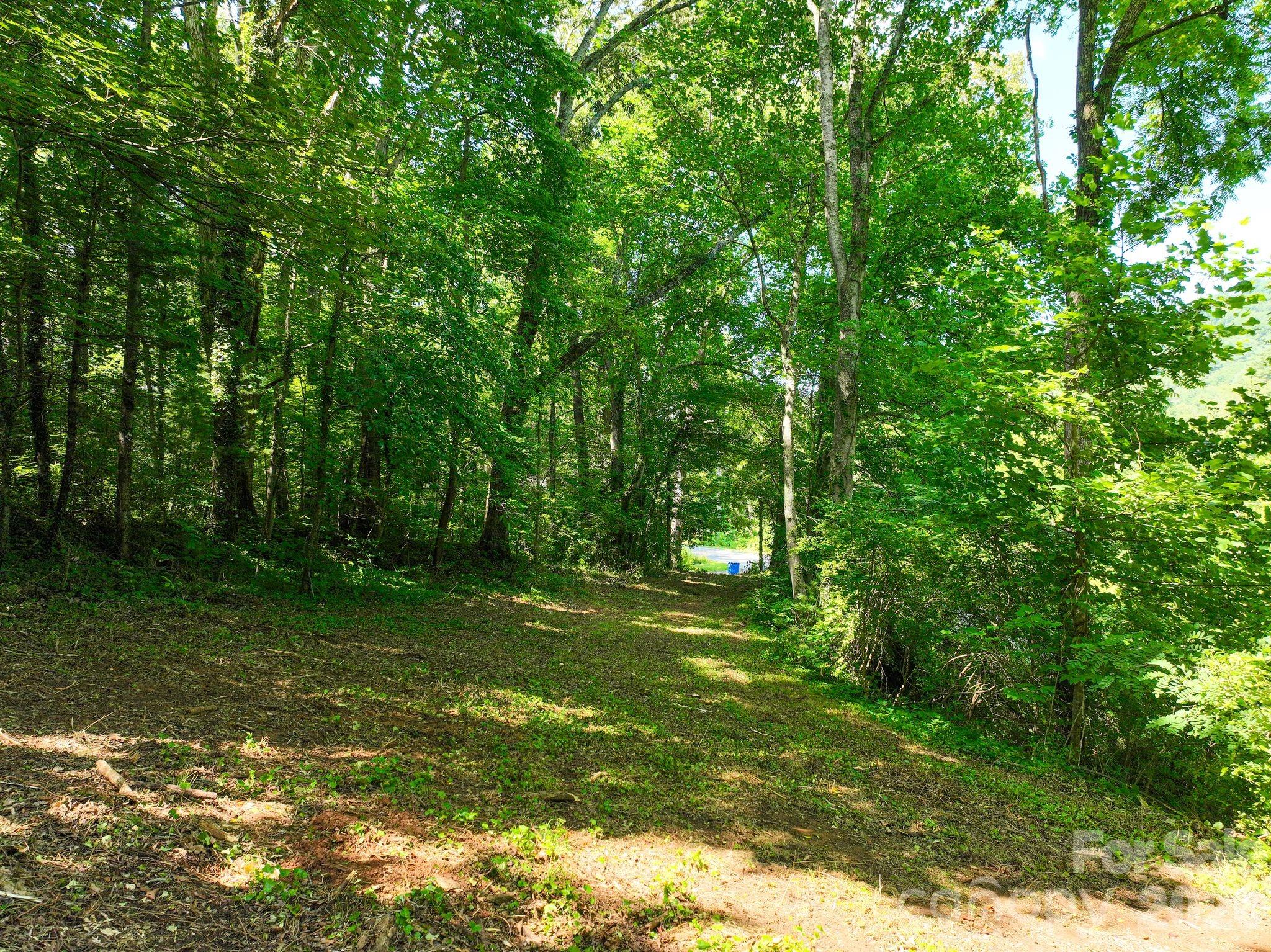 2nd image of 353 Chunns Cove Rd, Asheville, NC 28805 | MLS# 4397934