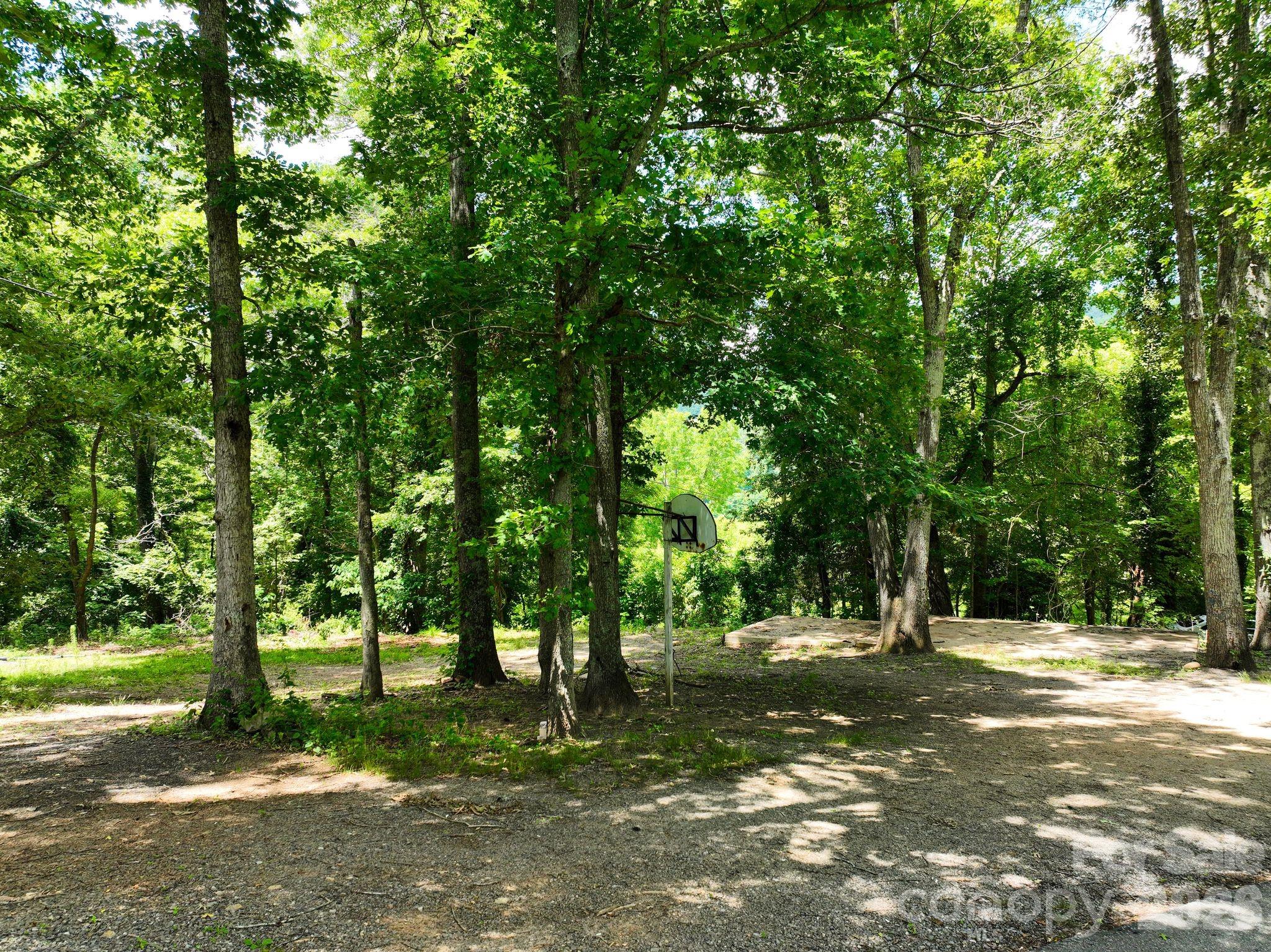 4th image of 99999 Chunns Cove Rd, Asheville, NC 28805 | MLS# 4398017