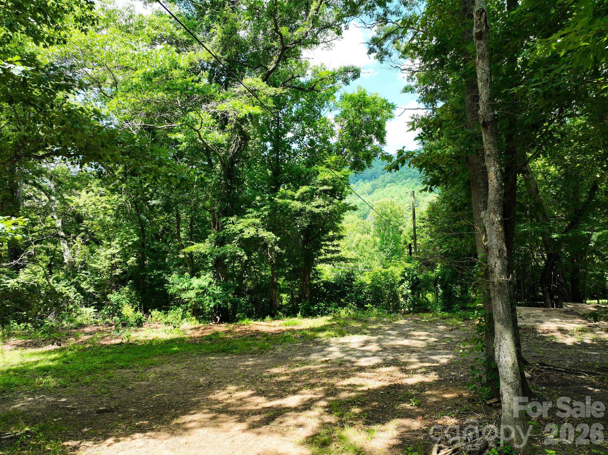2nd image of 99999 Chunns Cove Rd, Asheville, NC 28805 | MLS# 4398017