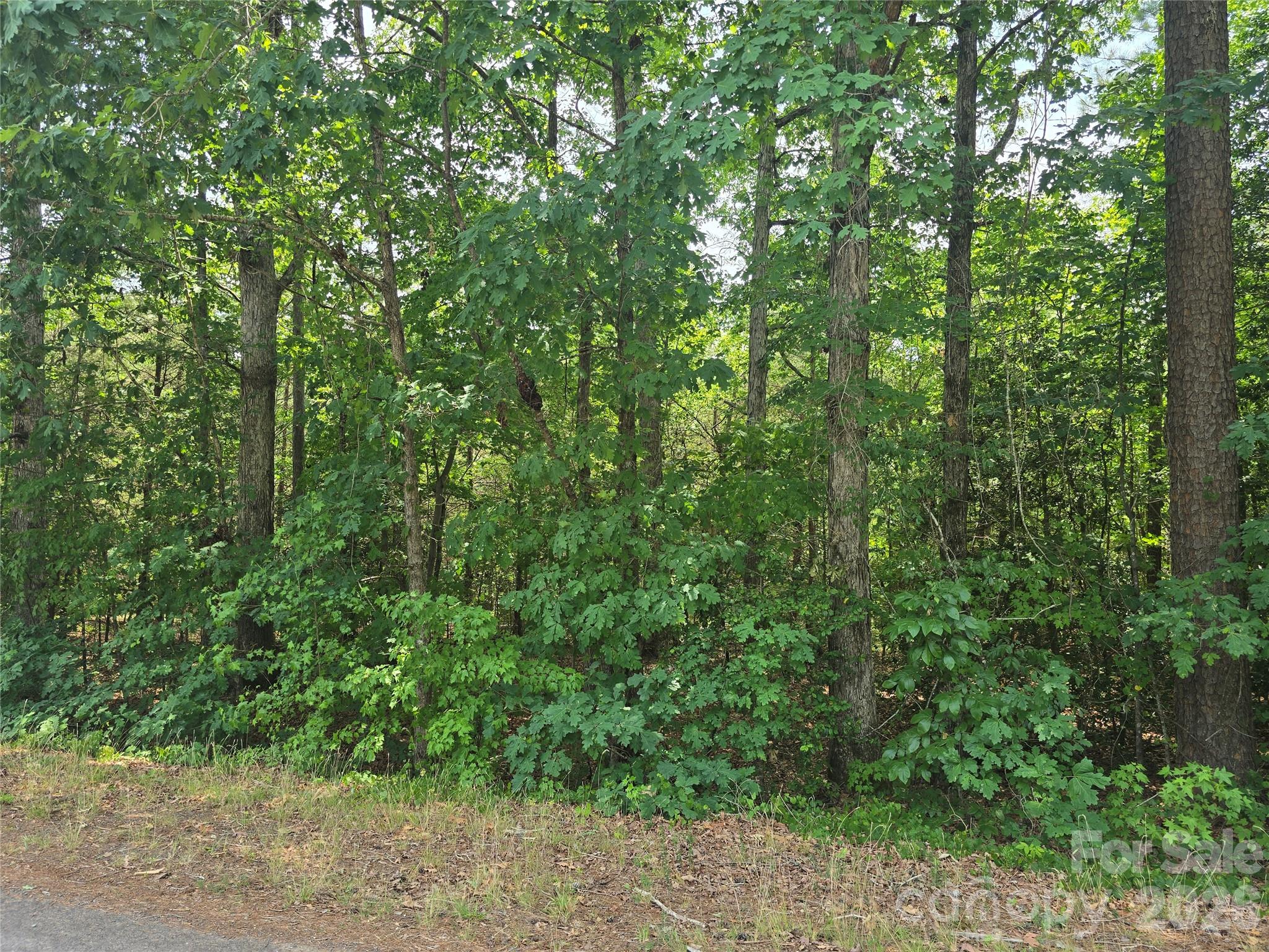 Homes for sale in Troy, NC | 385 Dennis Rd, Troy, NC 27371 | MLS# 4399357