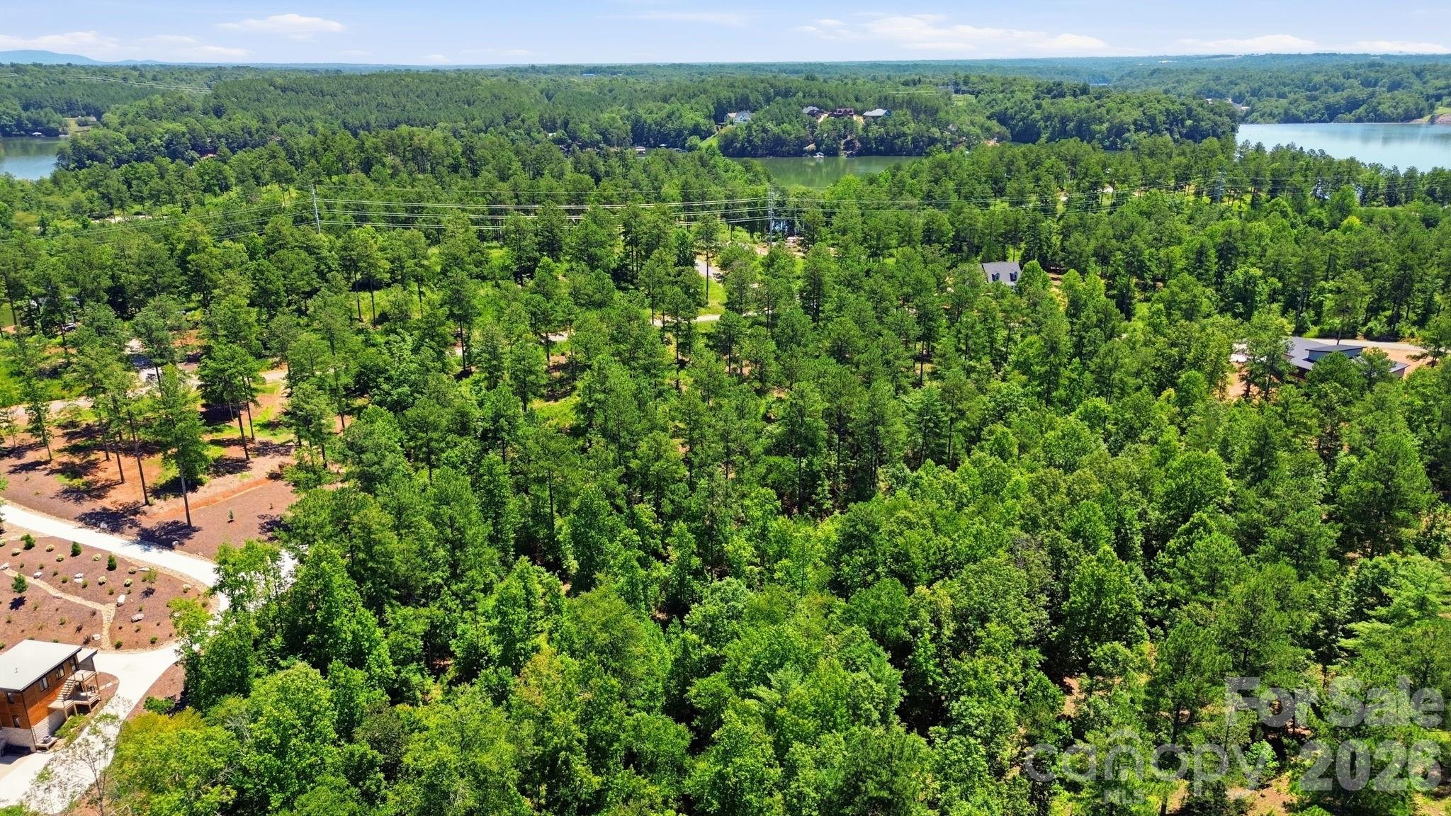 4th image of 2071 Ellingwood Pt, Connelly Springs, NC 28612 | MLS# 4400102