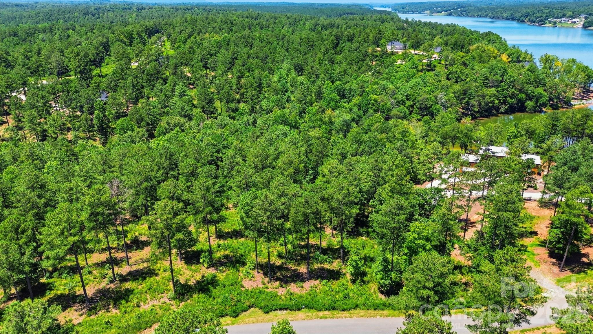 5th image of 2071 Ellingwood Pt, Connelly Springs, NC 28612 | MLS# 4400102
