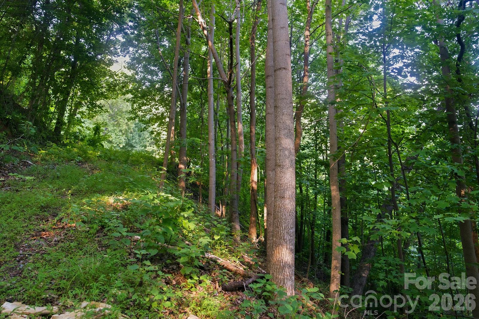 5th image of 00 Ragans Pointe Pointe #58, Columbus, NC 28722 | MLS# 4401409