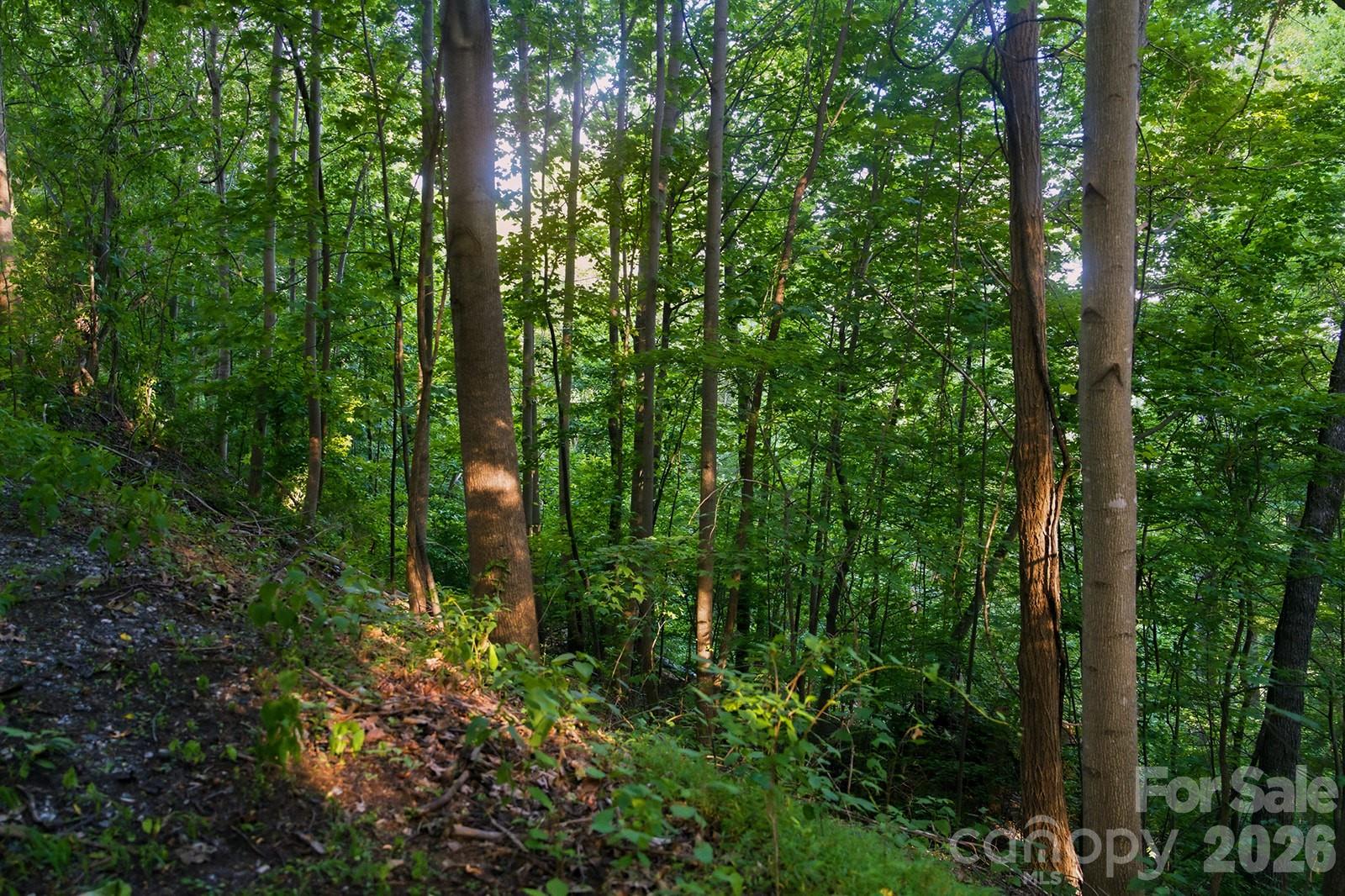 4th image of 00 Ragans Pointe Pointe #58, Columbus, NC 28722 | MLS# 4401409