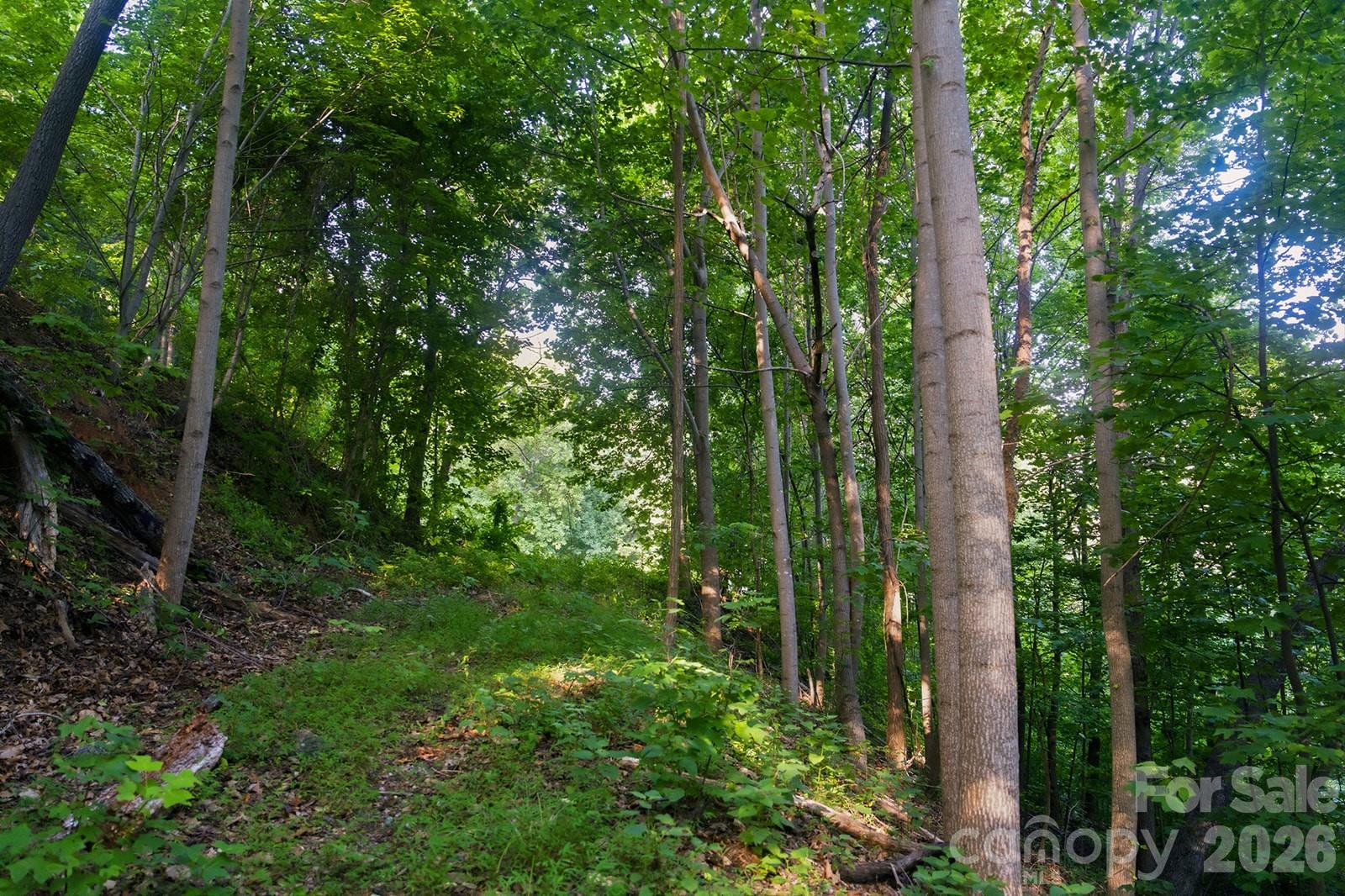 1st image of 00 Ragans Pointe Pointe #58, Columbus, NC 28722 | MLS# 4401409