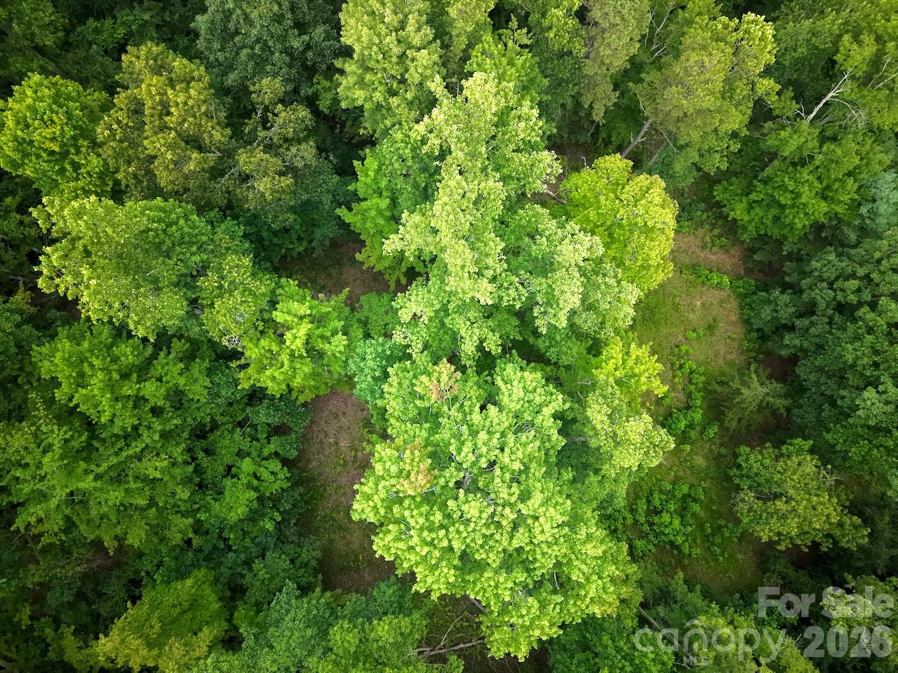 3rd image of 120 Ben Lippen School Rd, Asheville, NC 28806 | MLS# 4401465